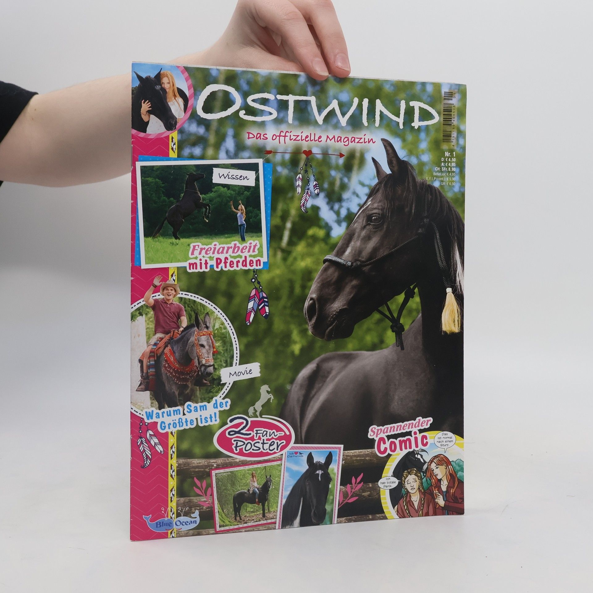 Collectif d'auteurs Ostwind. Nr. 1