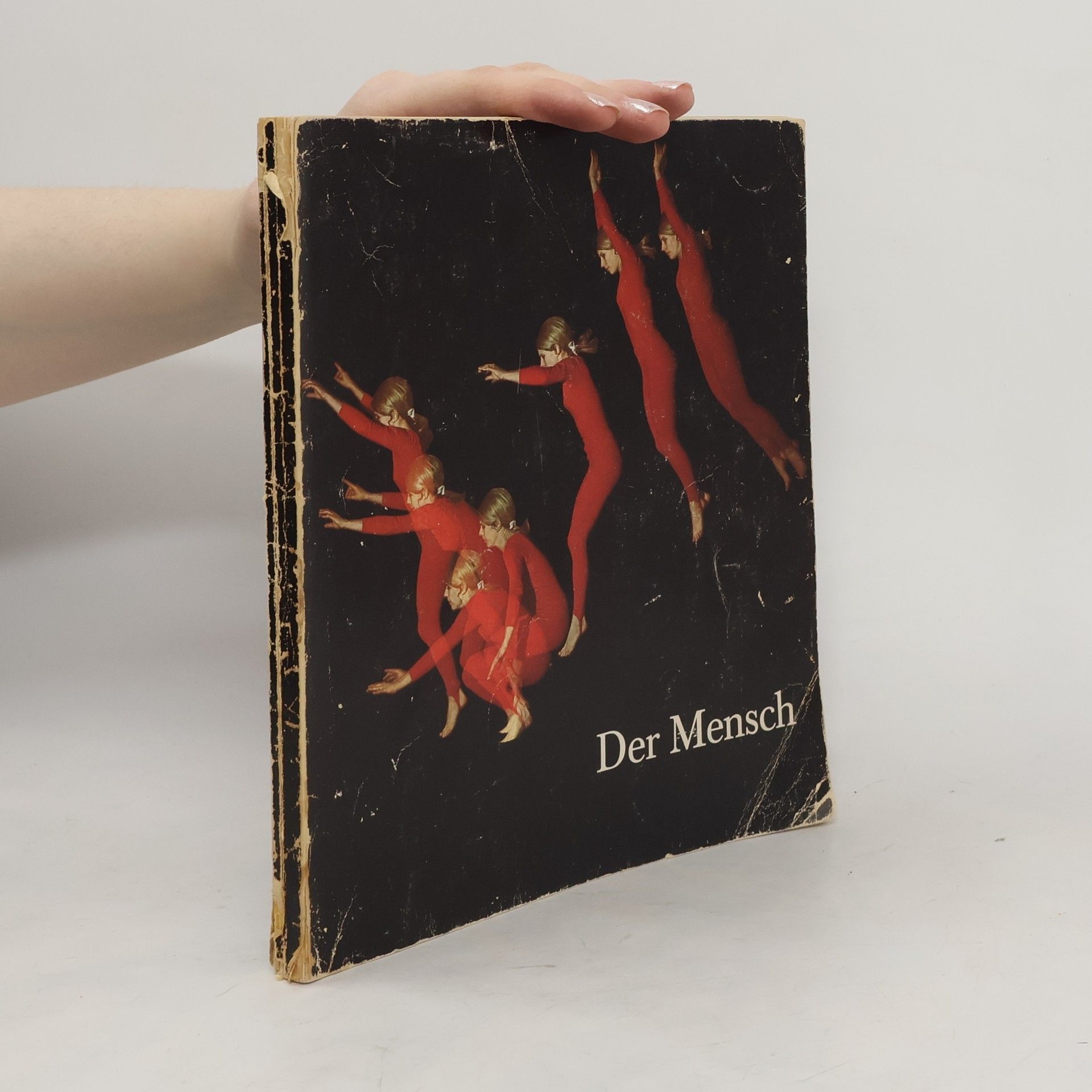 Collectif d'auteurs Der Mensch