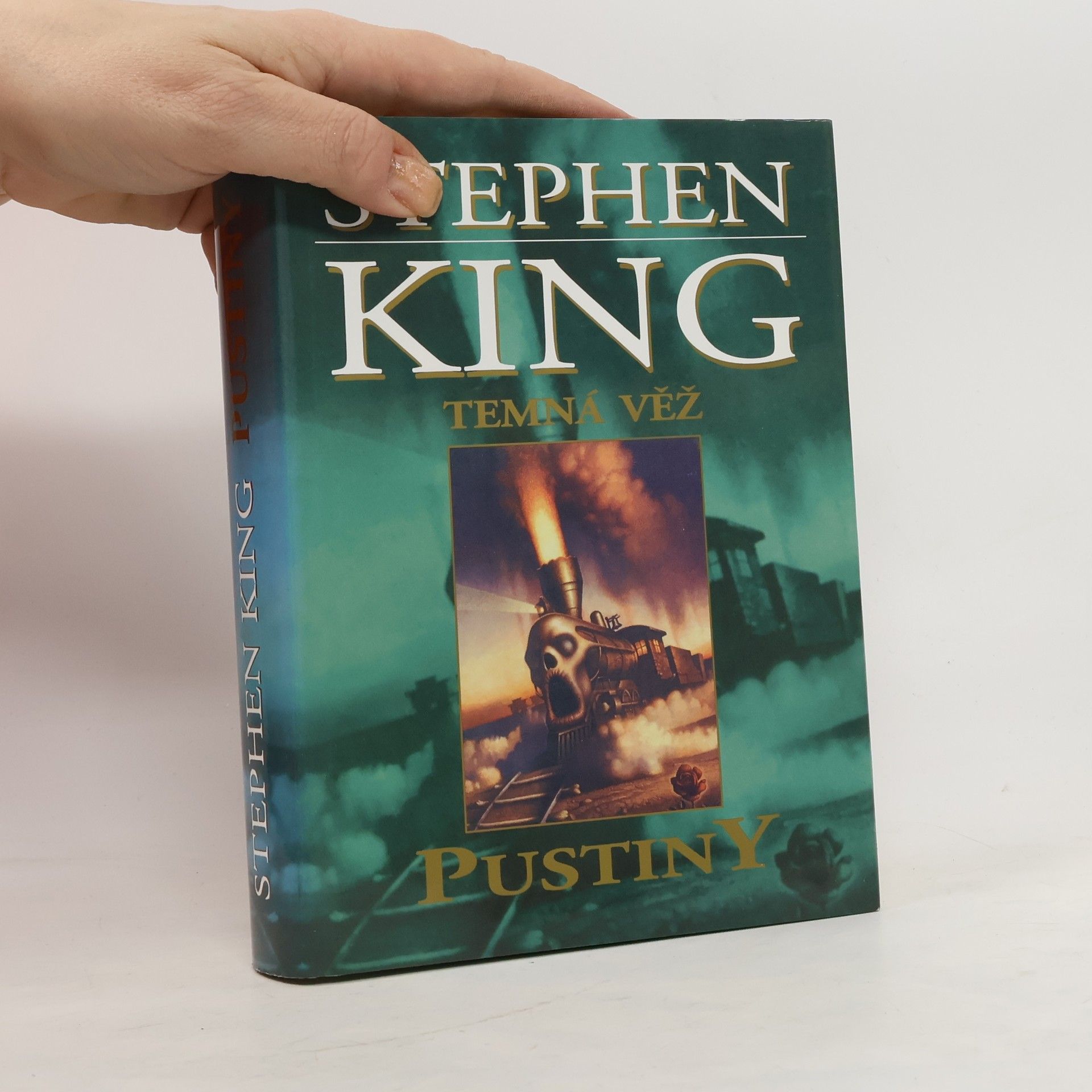 Stephen King Temná věž. Pustiny