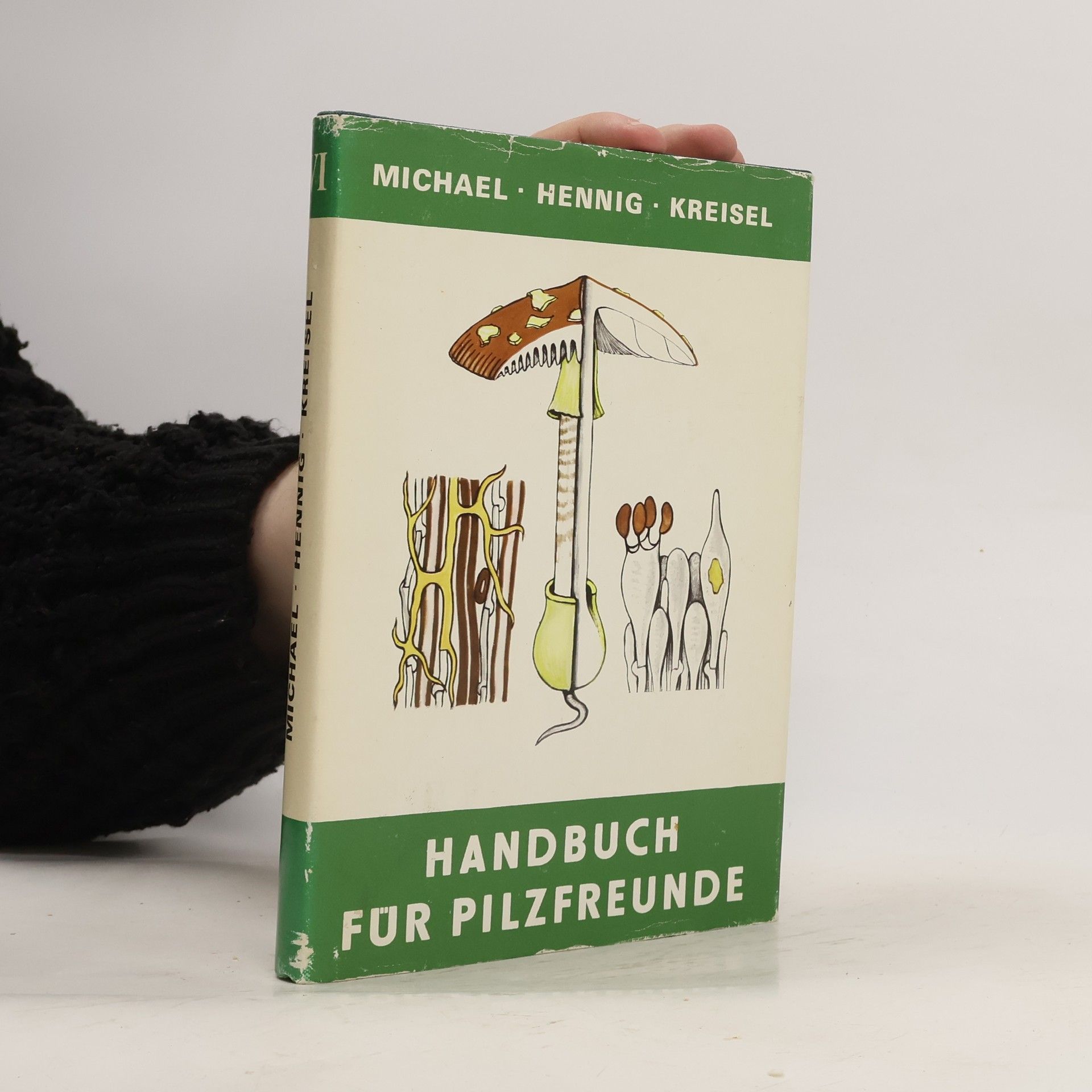Collectif d'auteurs Handbuch für Pilzfreunde