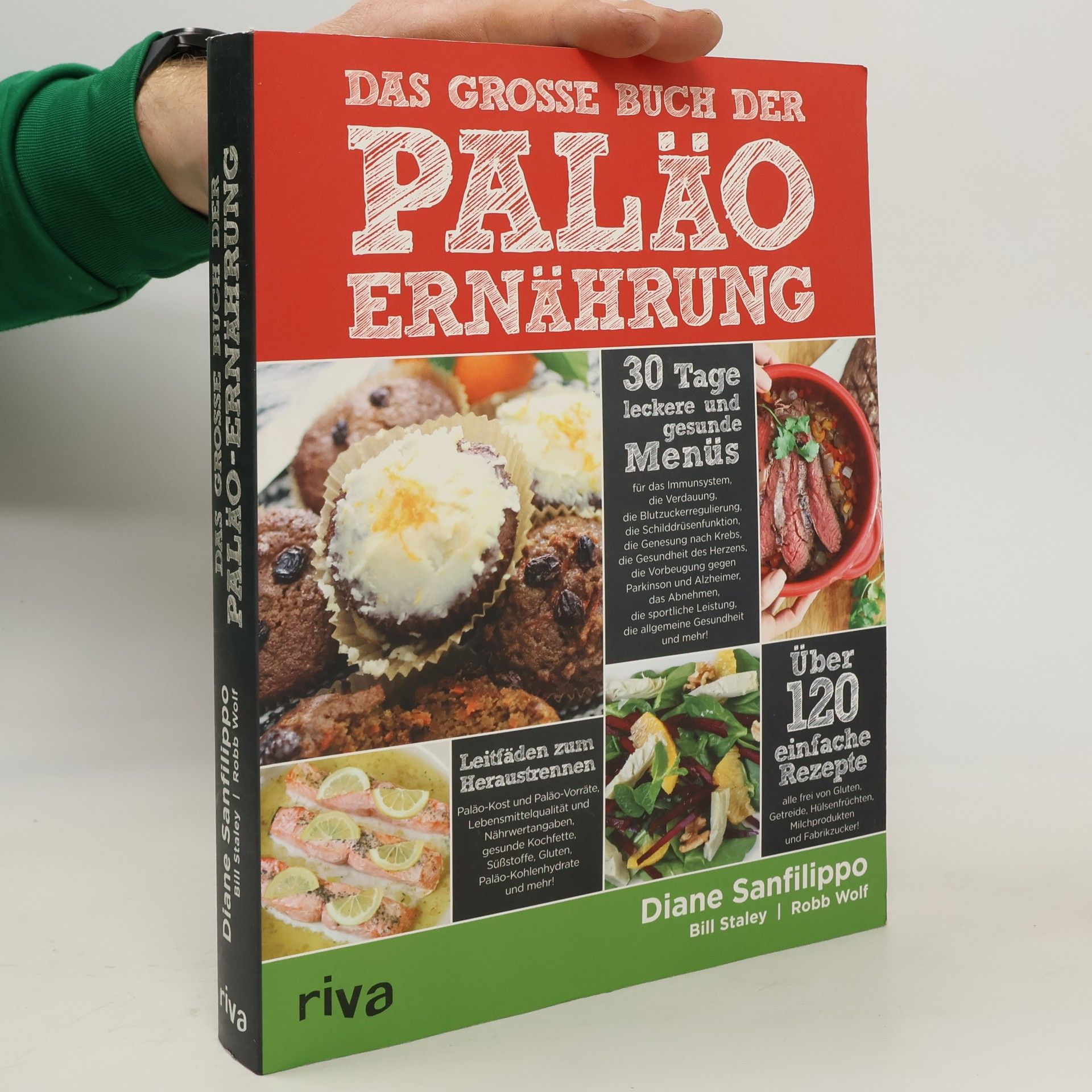 Diane Sanfilippo Das große Buch der Paläo-Ernährung