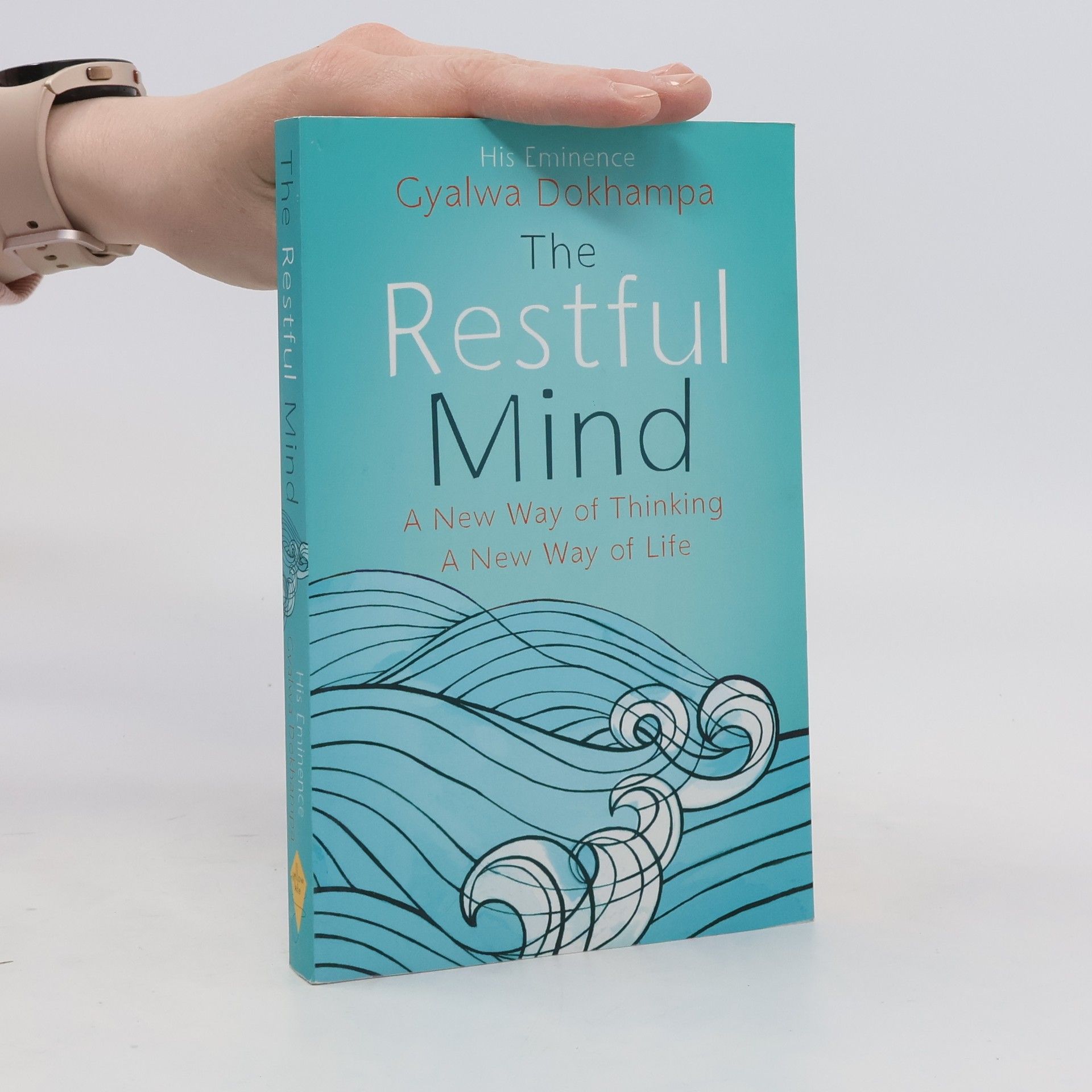 Gyalwa Dokhampa Rinpoche The Restful Mind