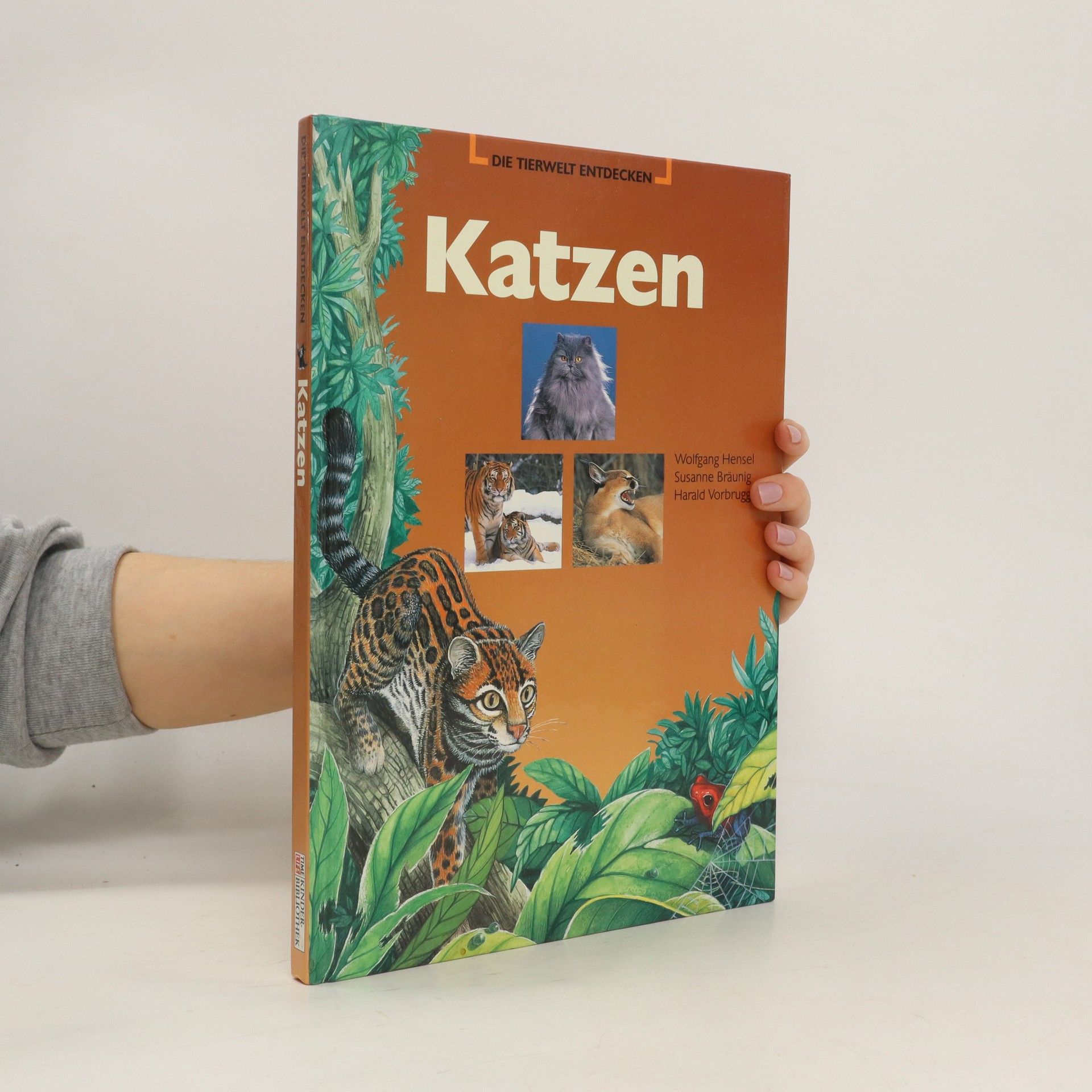 Collectif d'auteurs Katzen