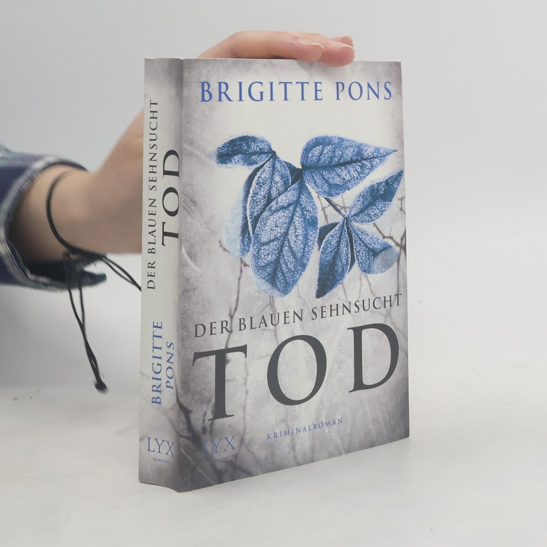 Brigitte Pons Der blauen Sehnsucht Tod