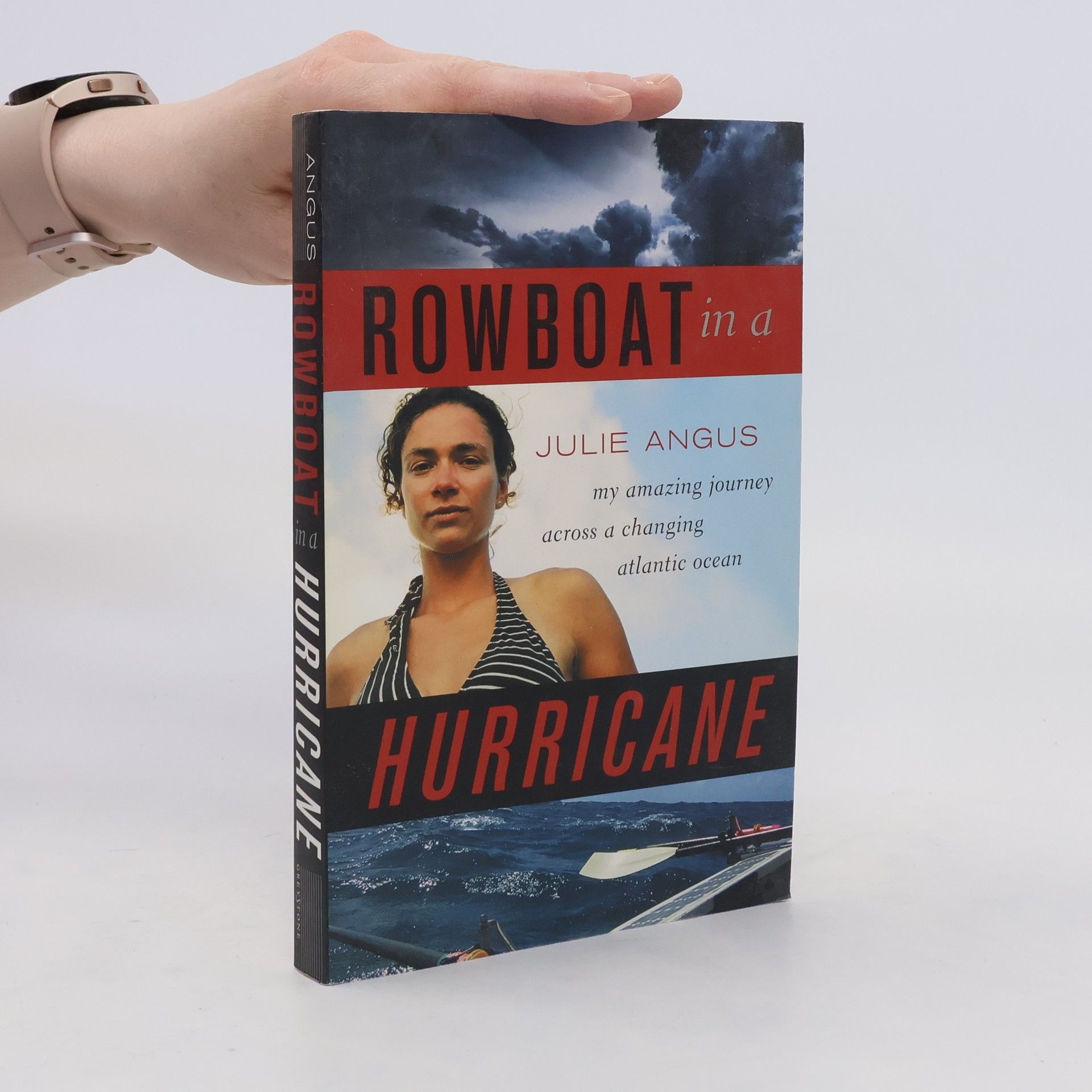 Julie Angus Rowboat in a Hurricane