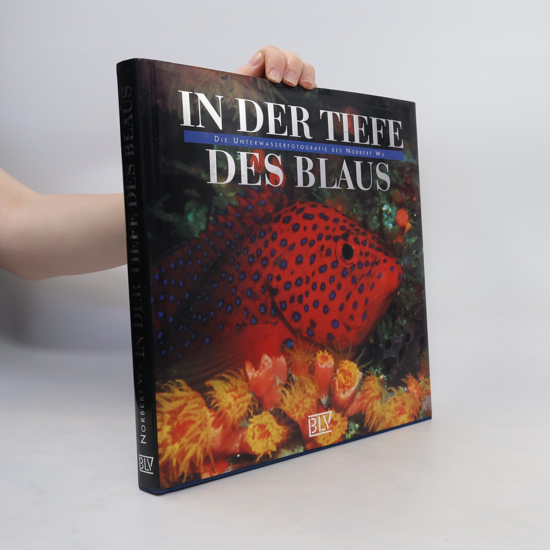 Norbert Wüpper In der Tiefe des Blaus