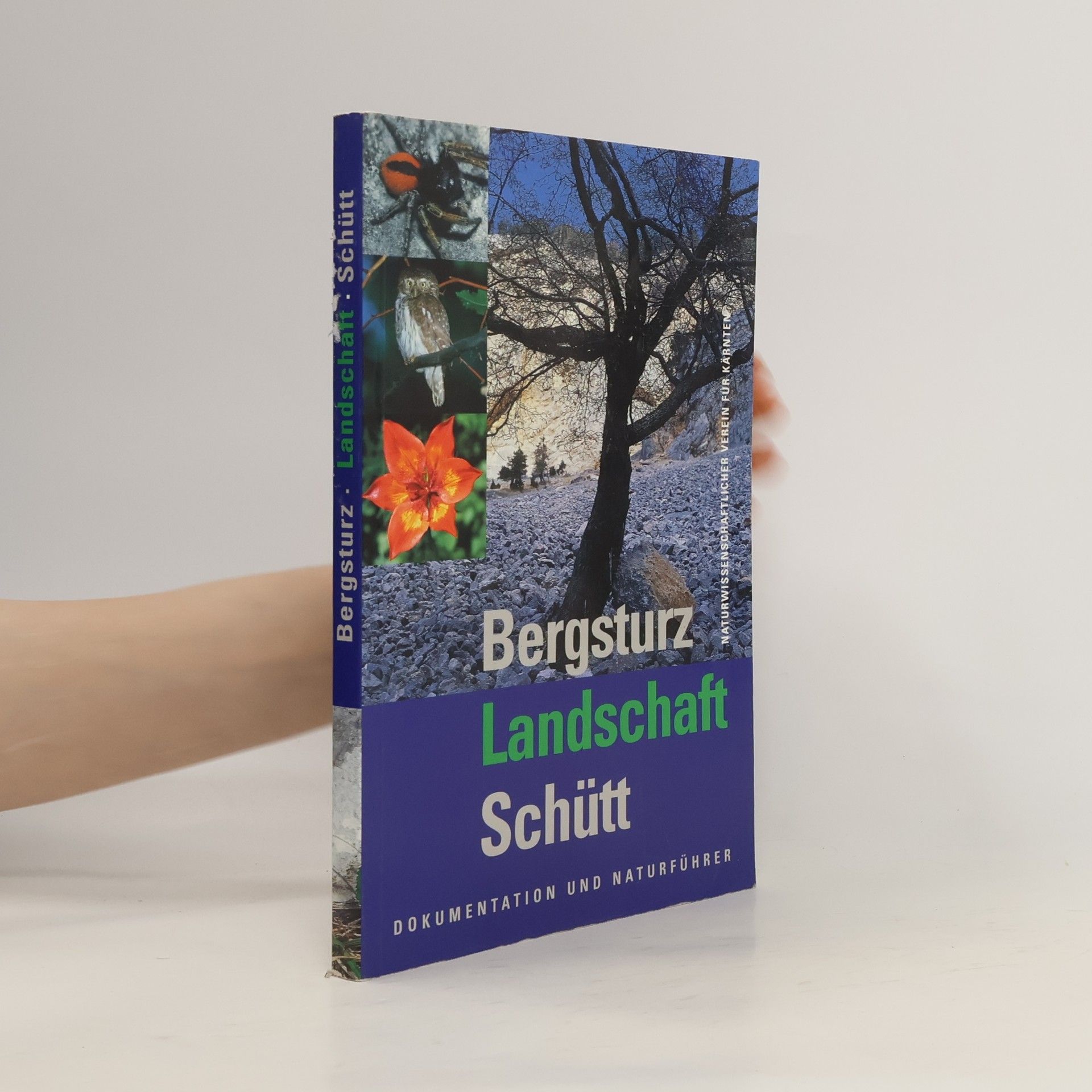 AA.VV. Bergsturz Landschaft Schütt