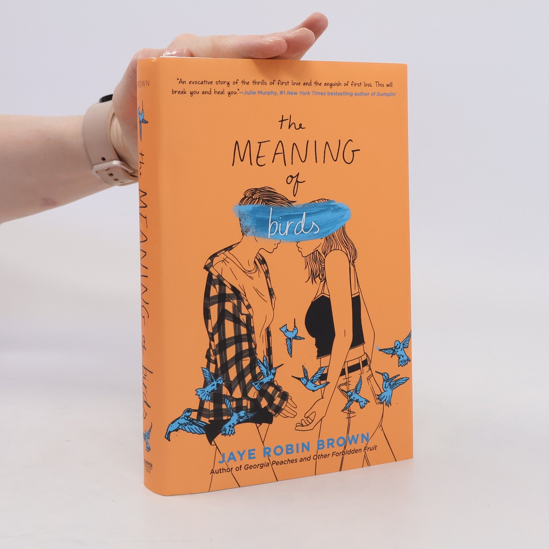 Jaye Robin Brown The Meaning of Birds