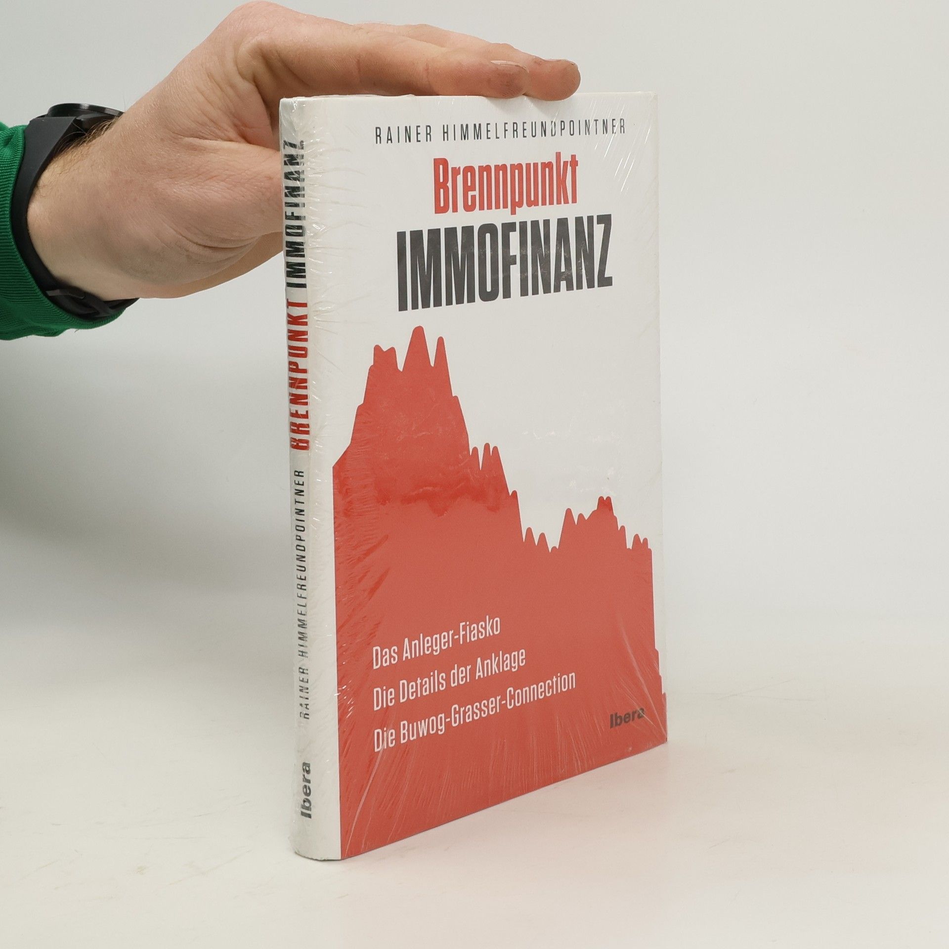 Rainer Himmelfreundpointner Brennpunkt Immofinanz