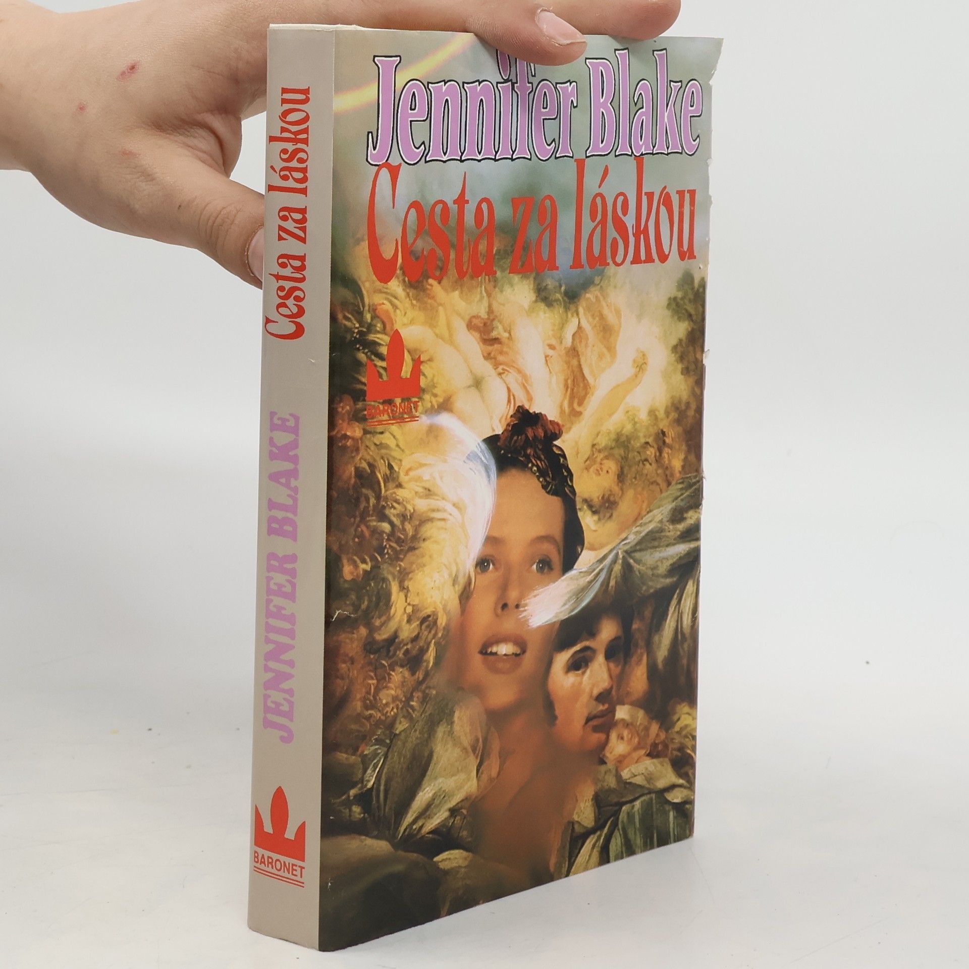 Jennifer Blake Cesta za láskou