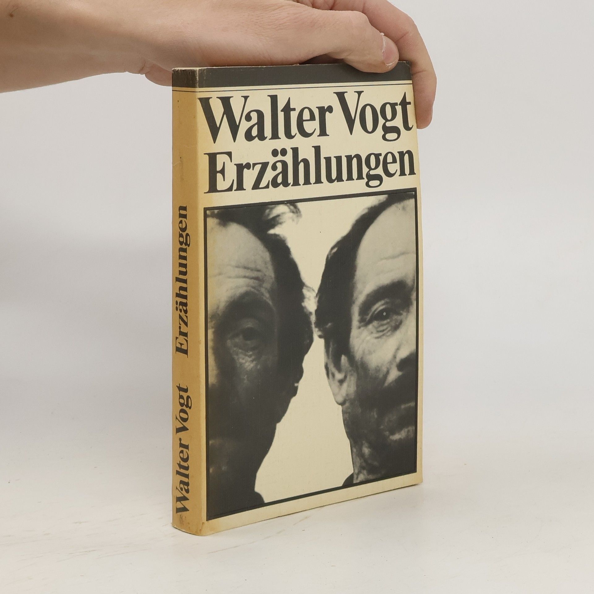 Walter Vogt Erzählungen