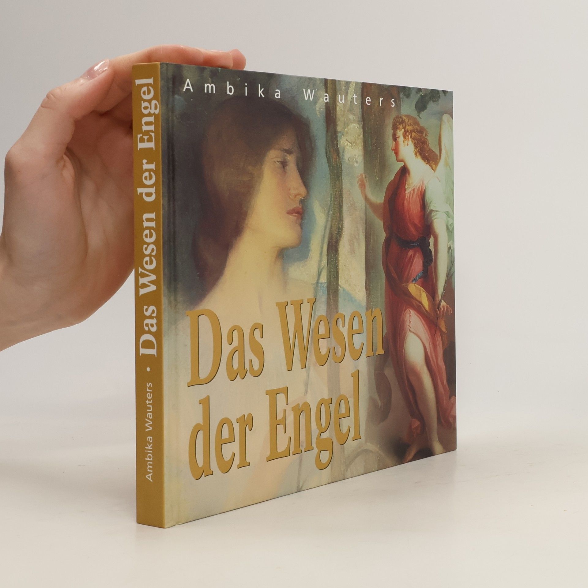 Ambika Wauters Das Wesen der Engel