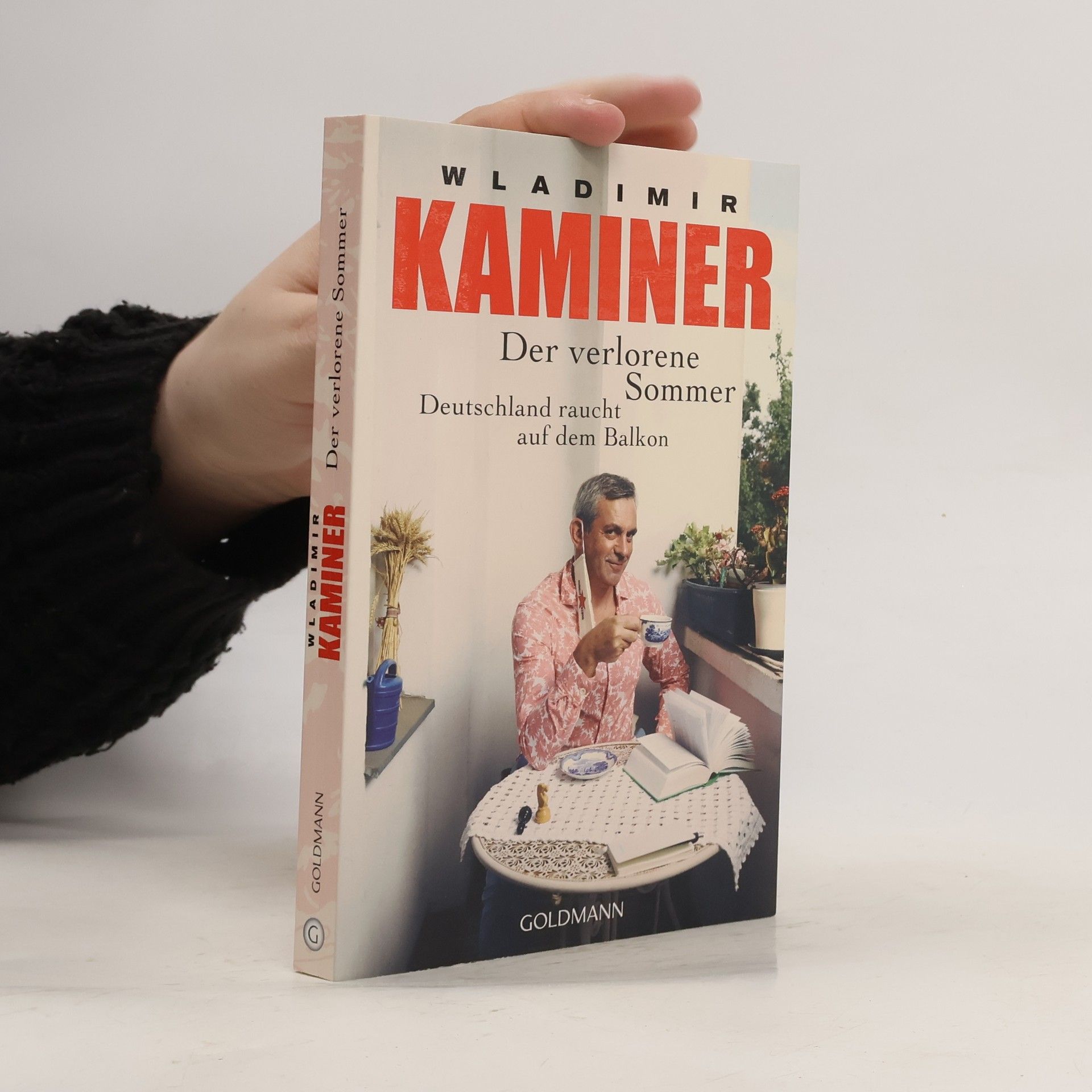 Wladimir Kaminer Der verlorene Sommer