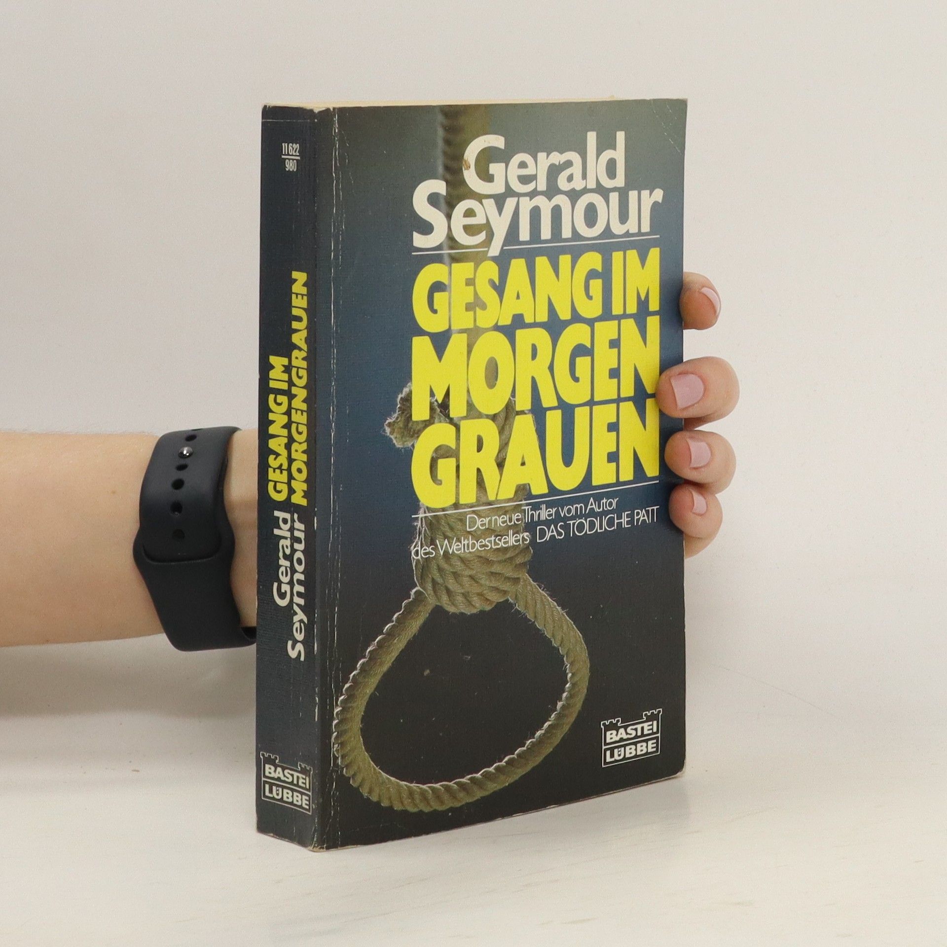 Gerald Seymour Gesang im Morgengrauen