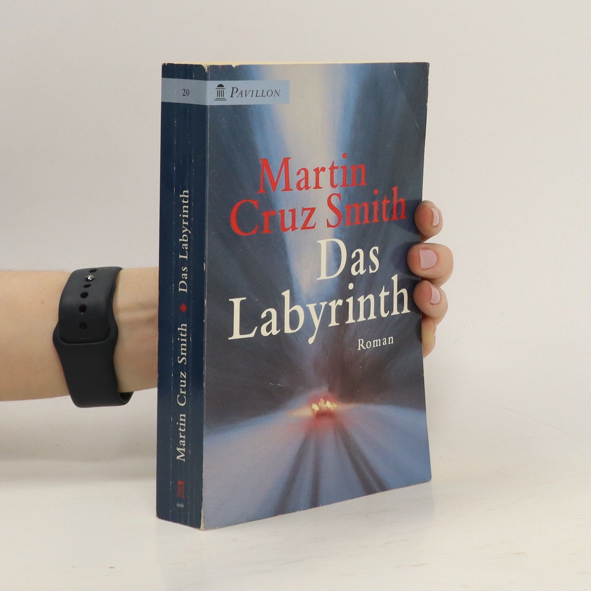 Martin Cruz-Smith Das Labyrinth