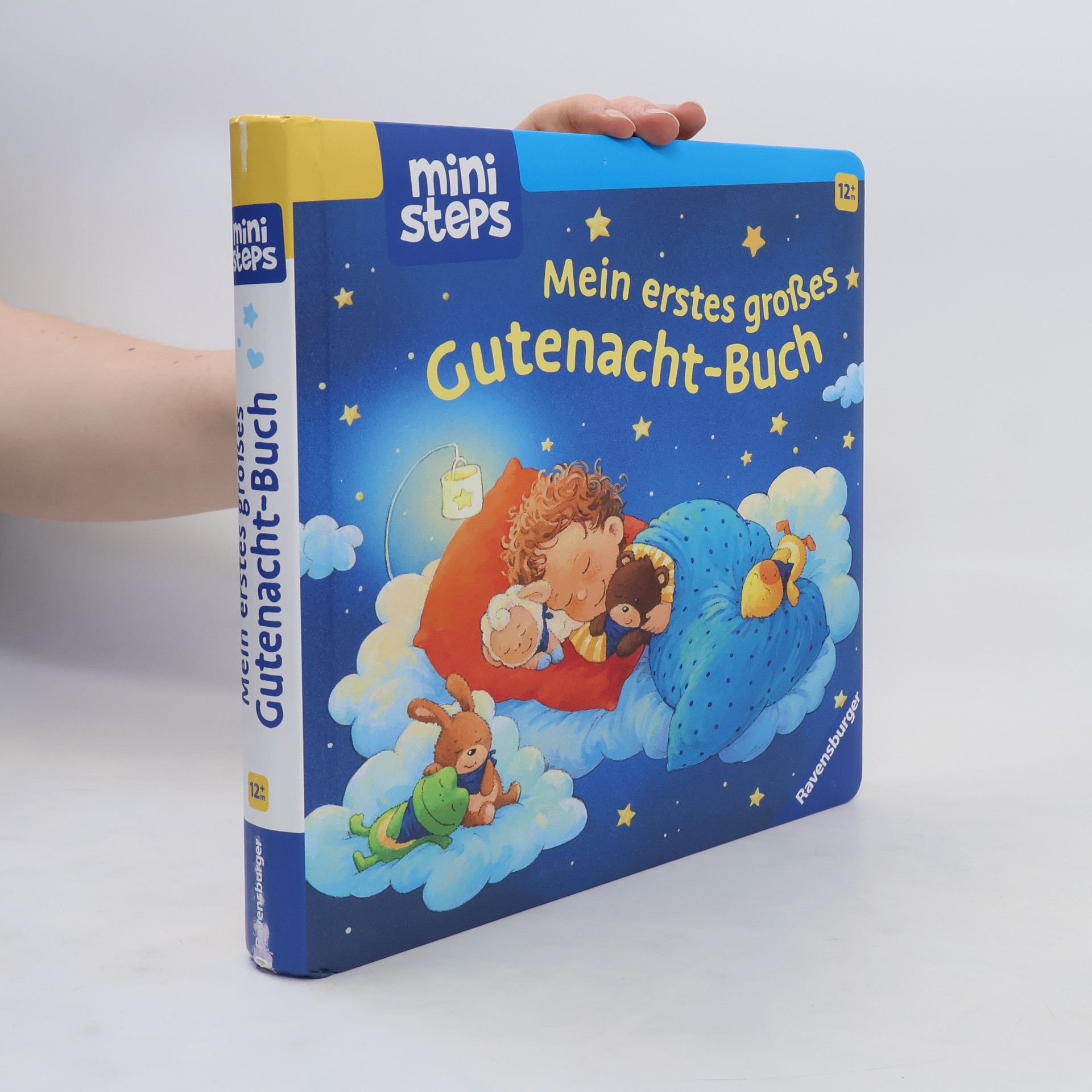 Sandra Grimm ministeps: Mein erstes großes Gutenacht-Buch