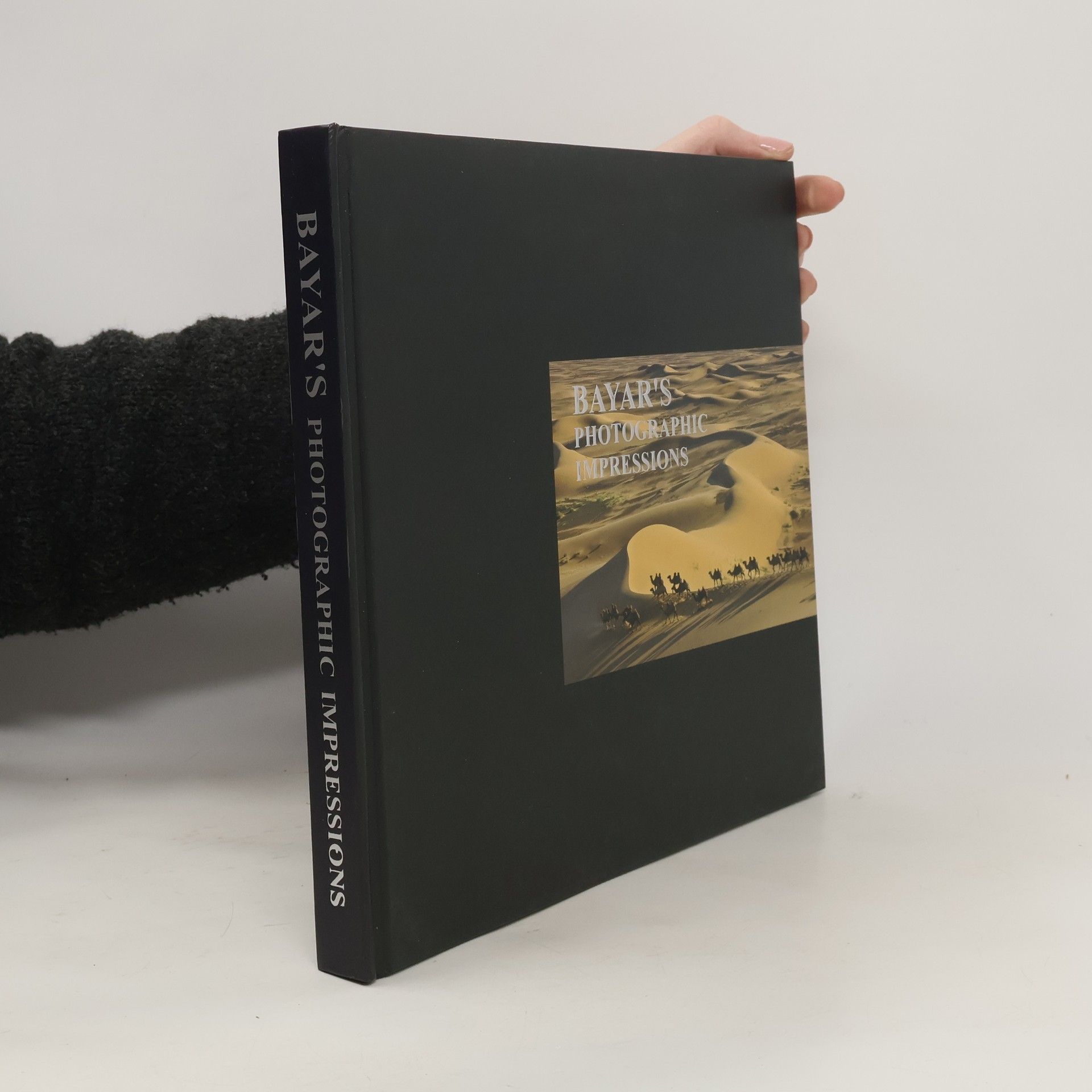 Bayar Balgantseren Bayar's Photographic Impressions