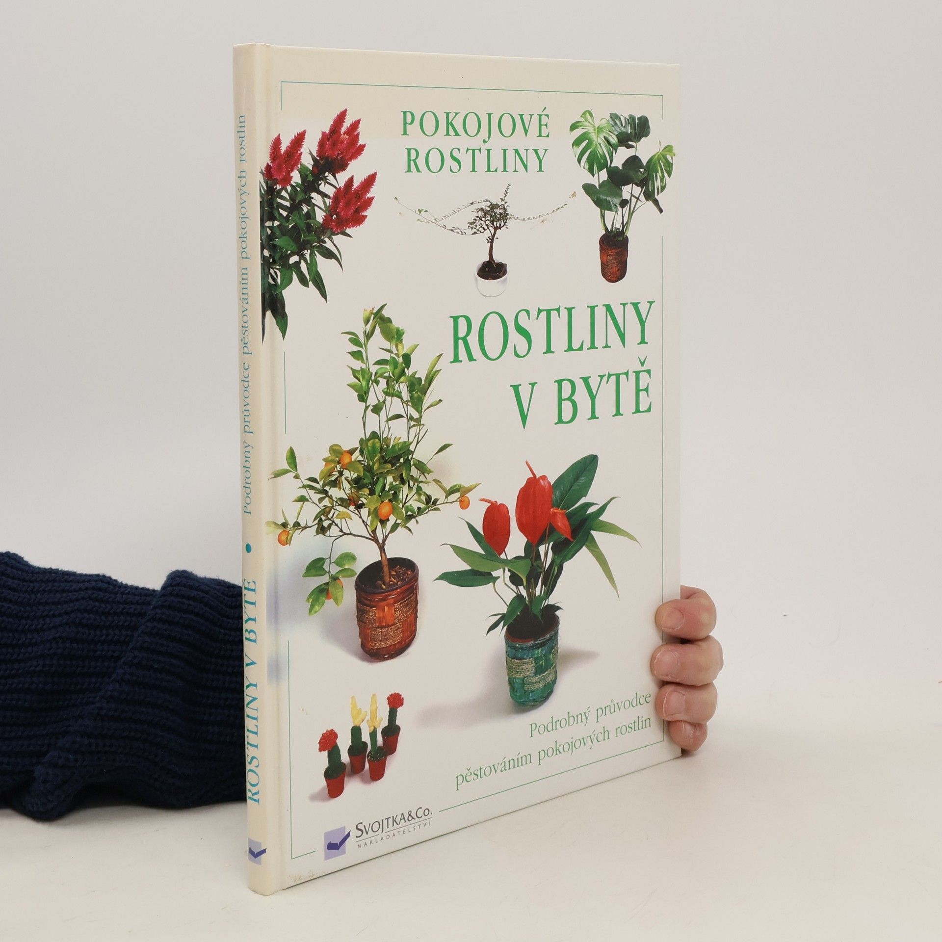 AA.VV. Rostliny v bytě. Pokojové rostliny