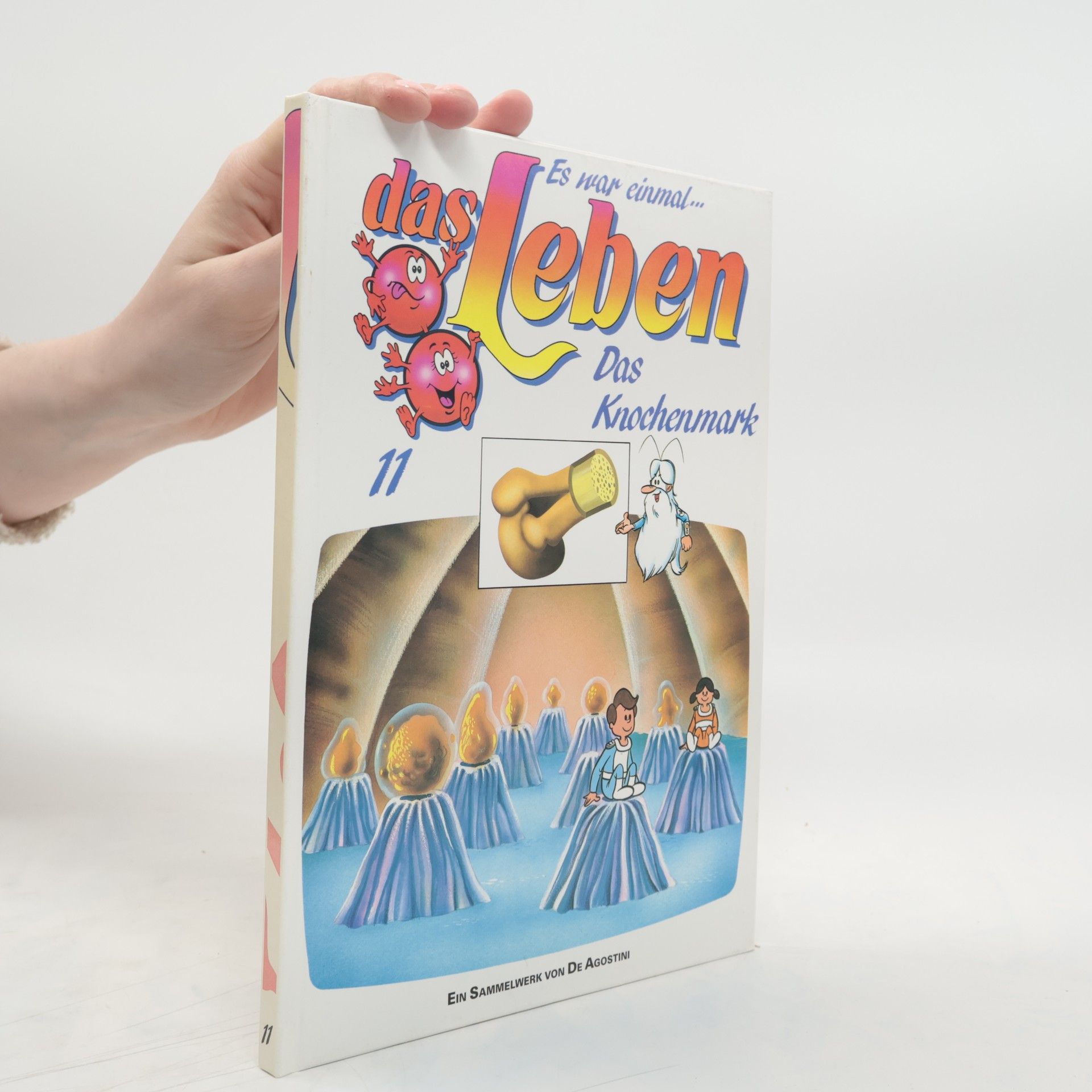 Auteurscollectief Es war einmal...das Leben 11 Das Knochenmark