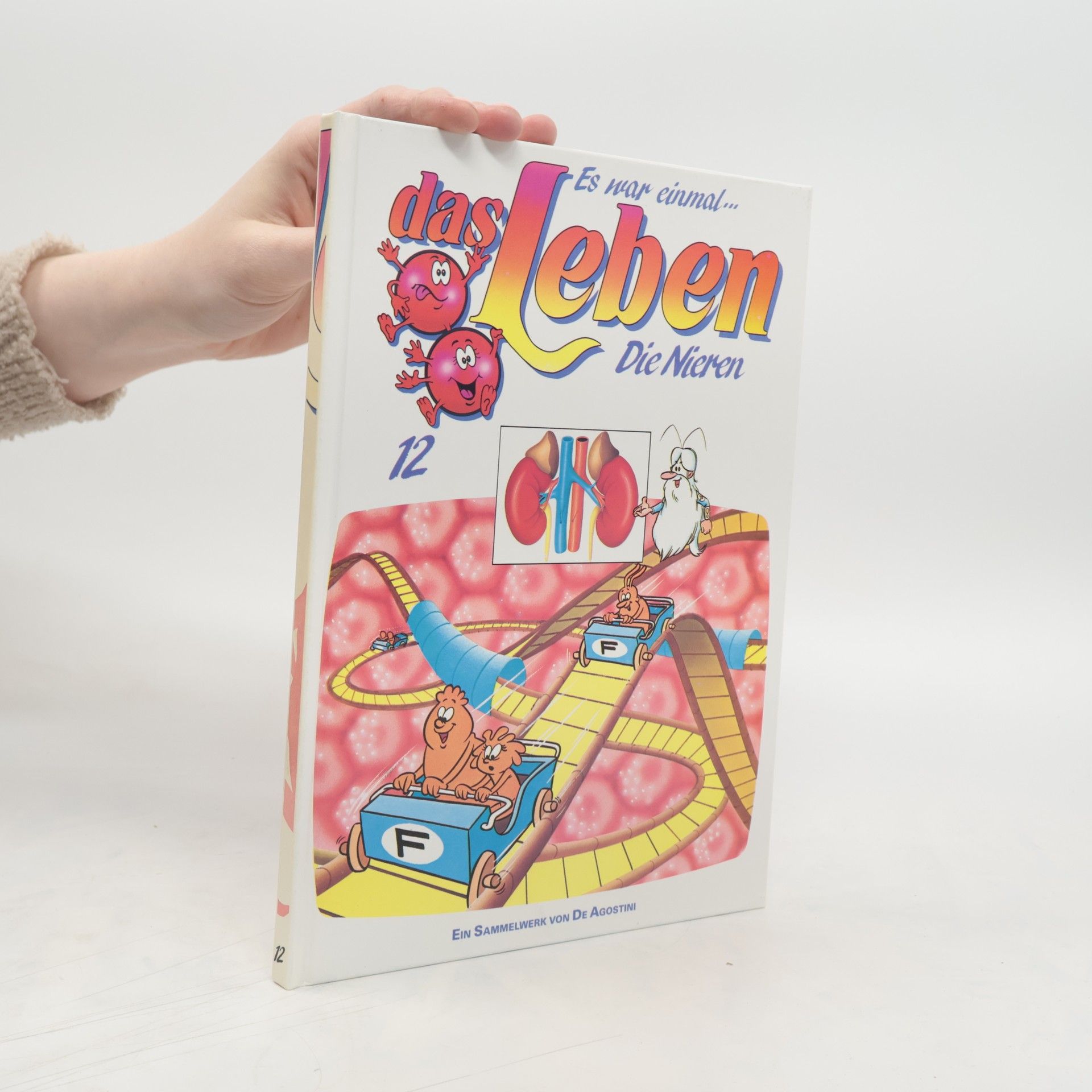 kolektiv Es war einmal... das Leben 12. Die Nieren