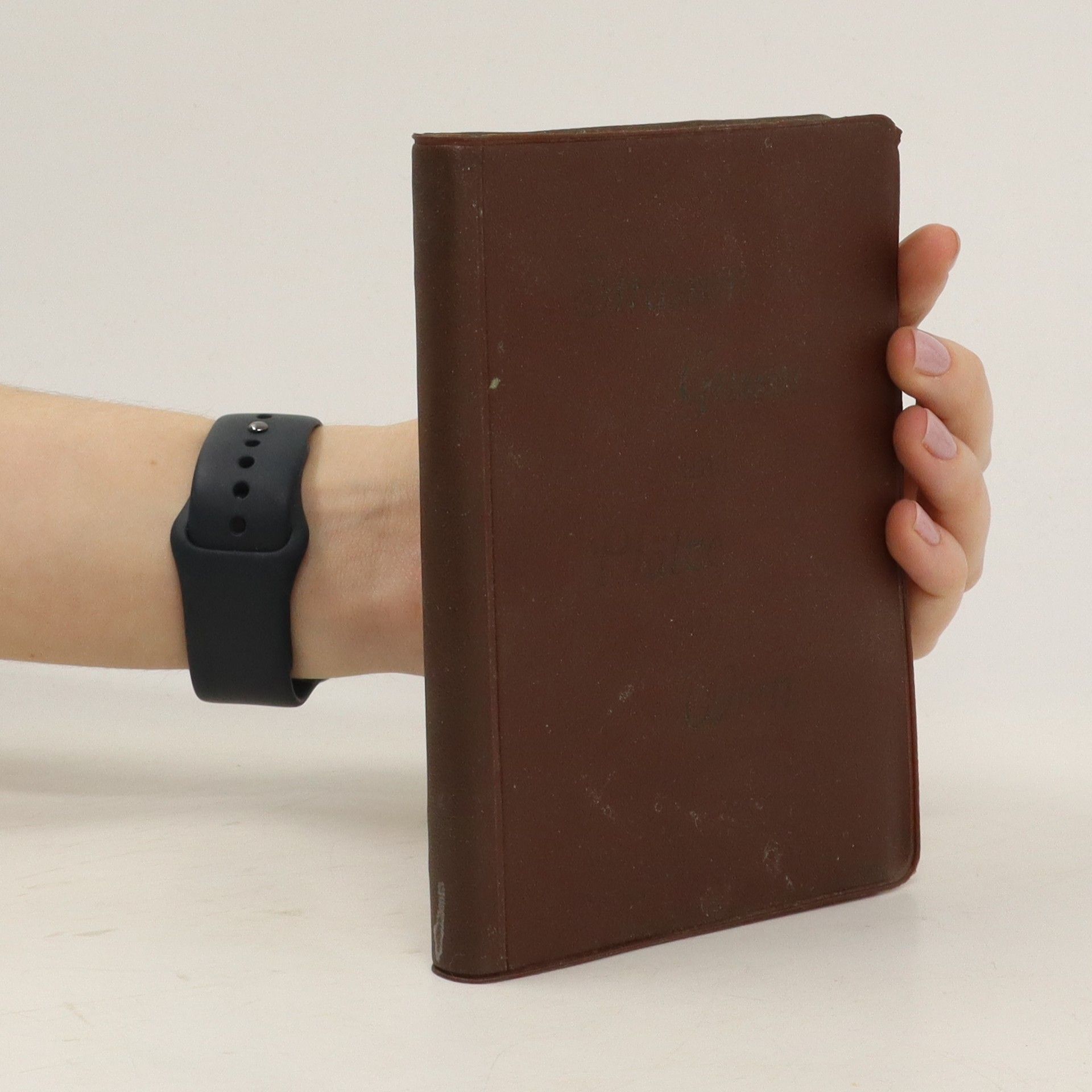 Kolektiv autorů Strassen Gassen und Plätze in Wien