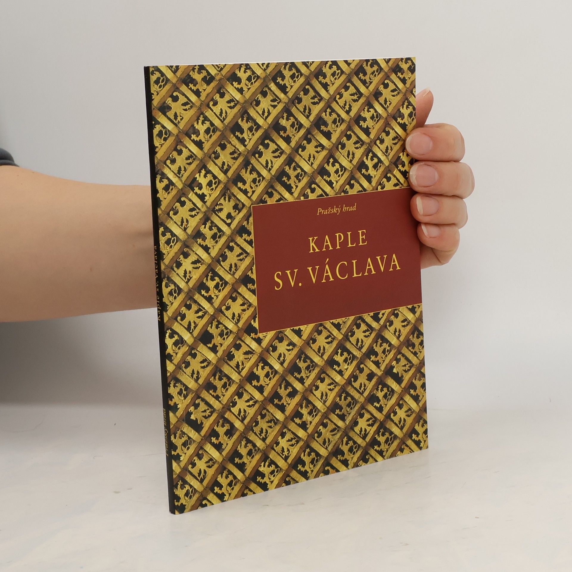 Jiří Kopřiva Pražský hrad. Kaple sv. Václava