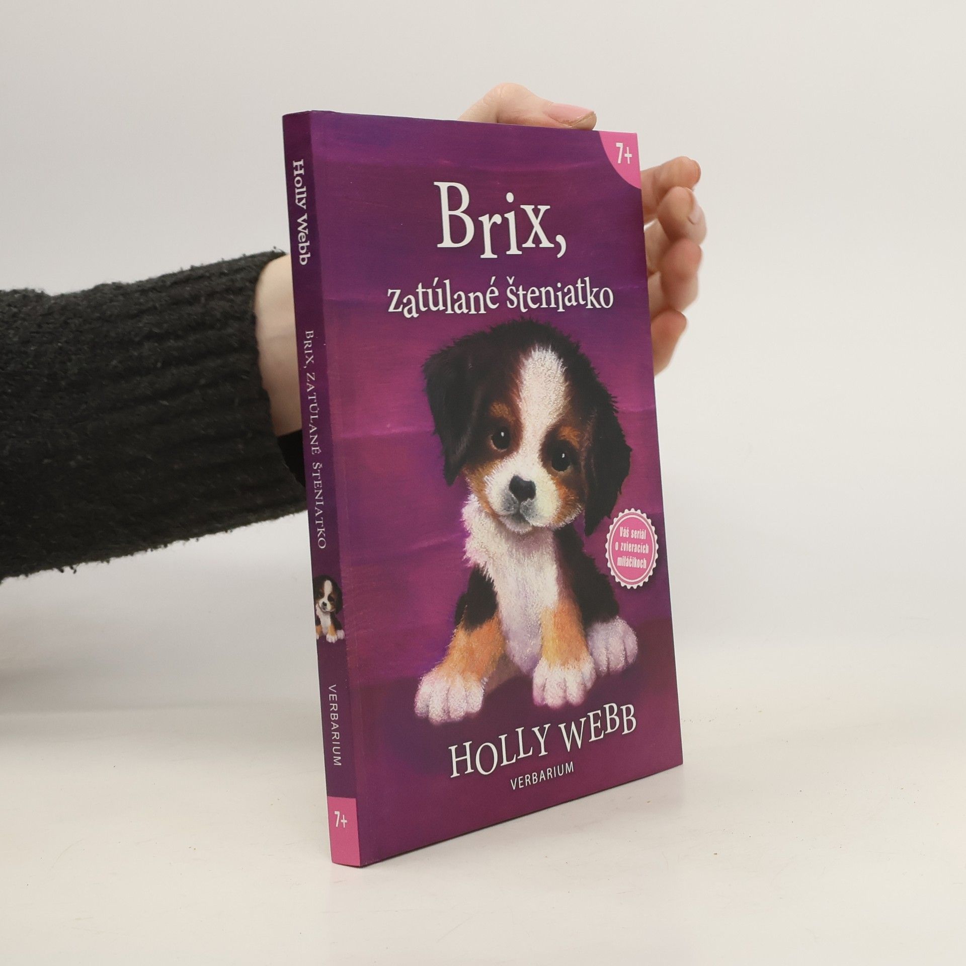 Holly Webb Brix, zatúlané šteniatko