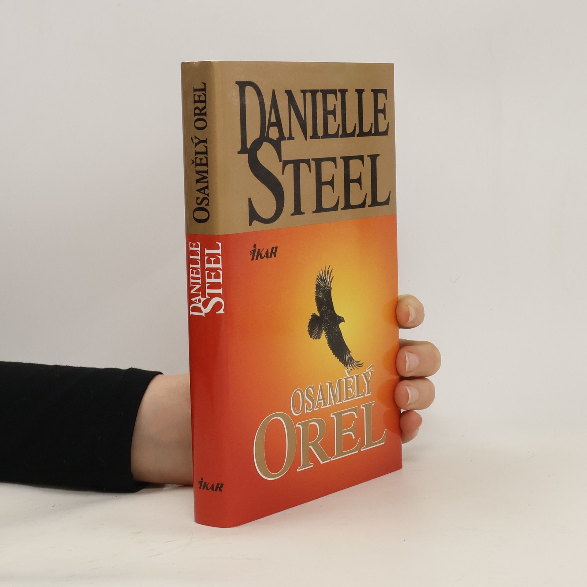 Danielle Steel Osamělý orel
