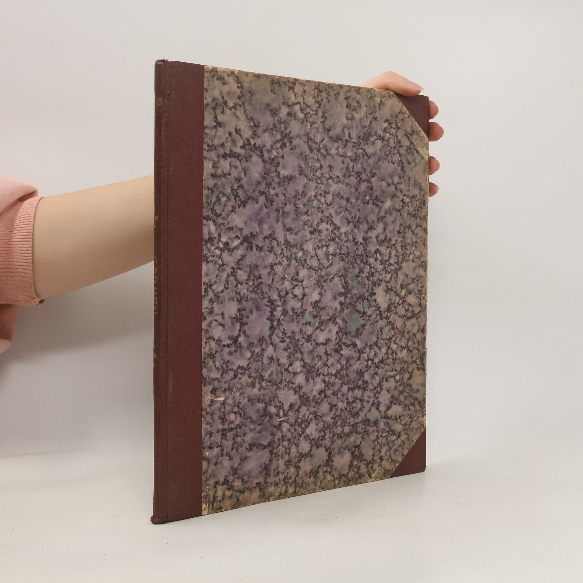 Max Schultze Carmen. Oper in 4 Akten