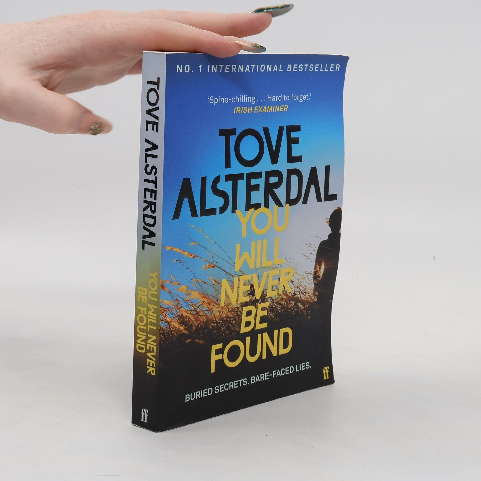 Tove Alsterdal You Will Never Be Found