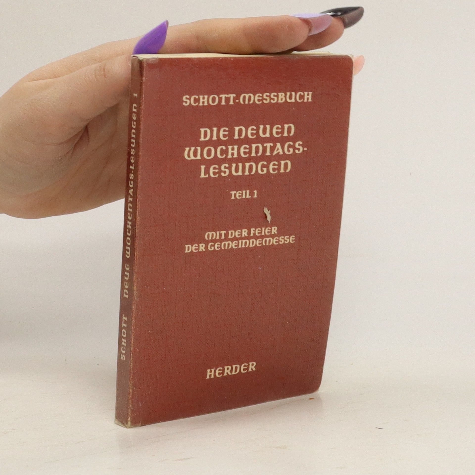 Collectif d'auteurs Die neuen Wochentagslesungen. Teil 1