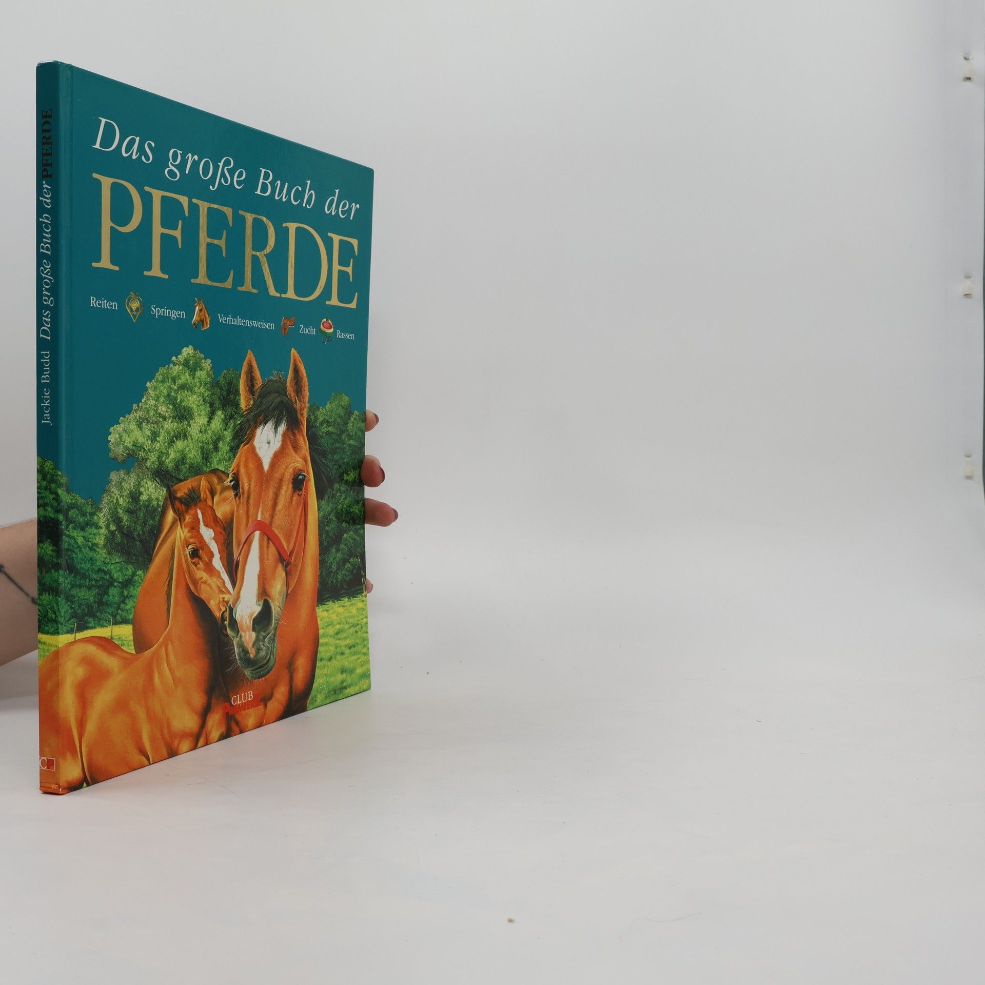 Jackie Budd Das große Buch der pferde