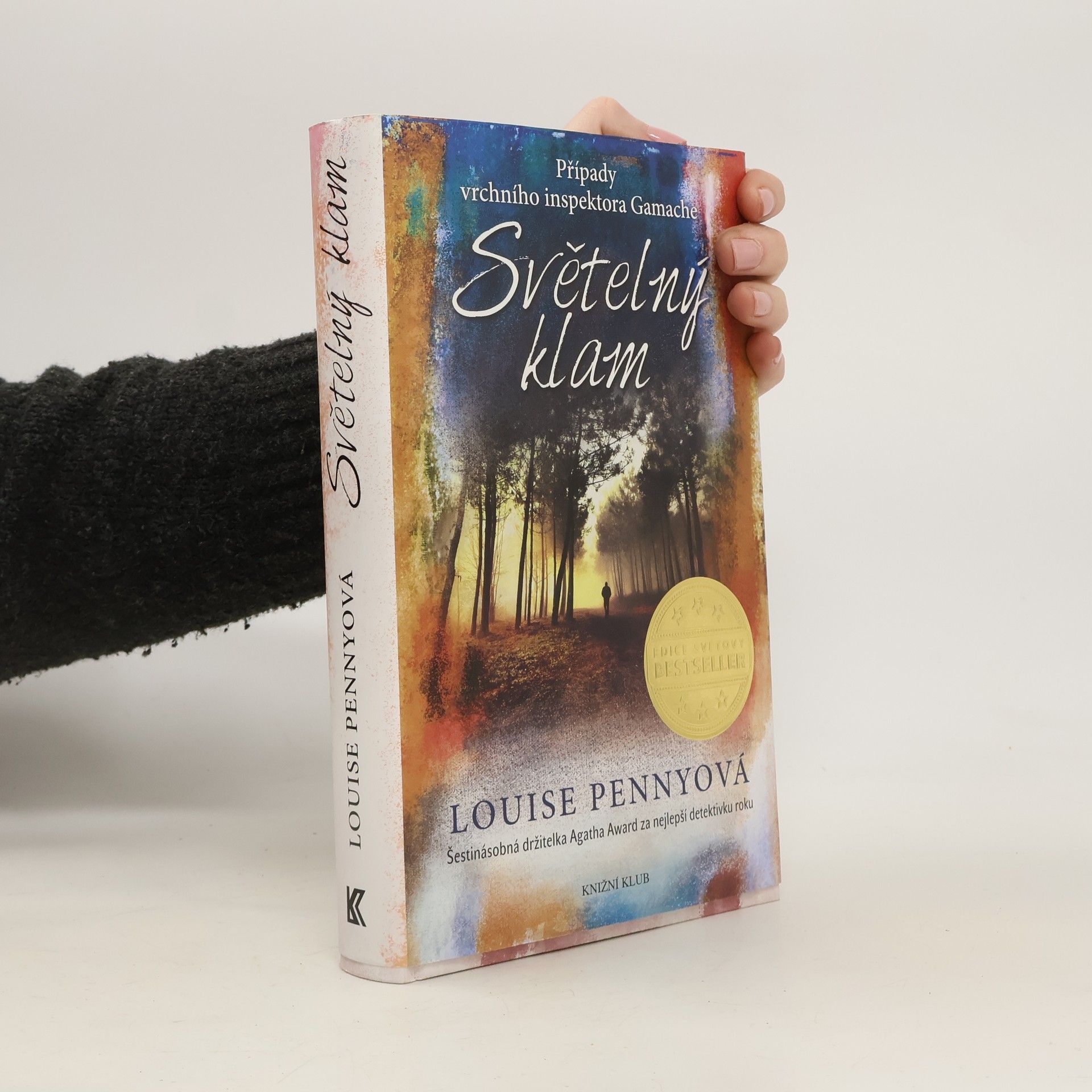 Louise Penny Světelný klam