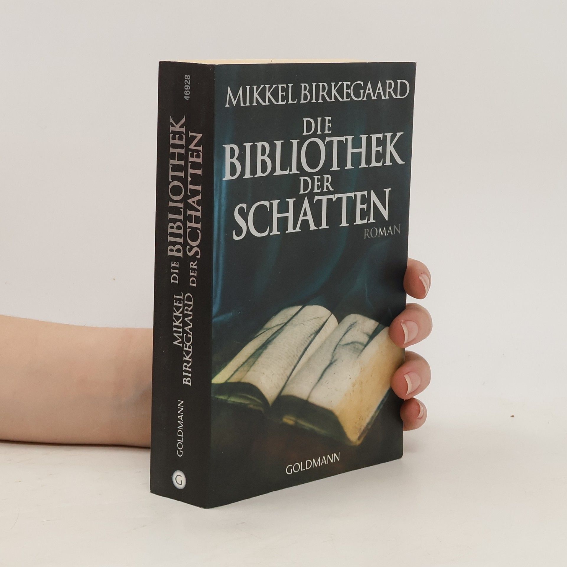 Mikkel Birkegaard Die Bibliothek der Schatten