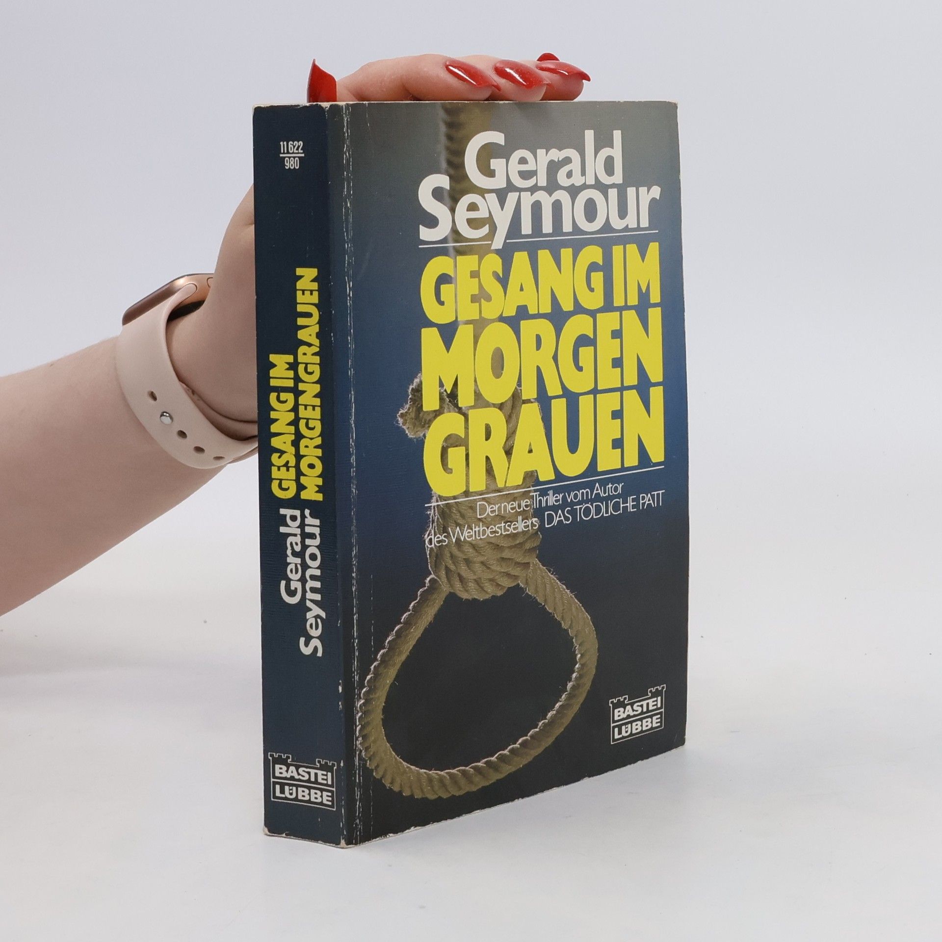 Gerald Seymour Gesang im Morgengrauen