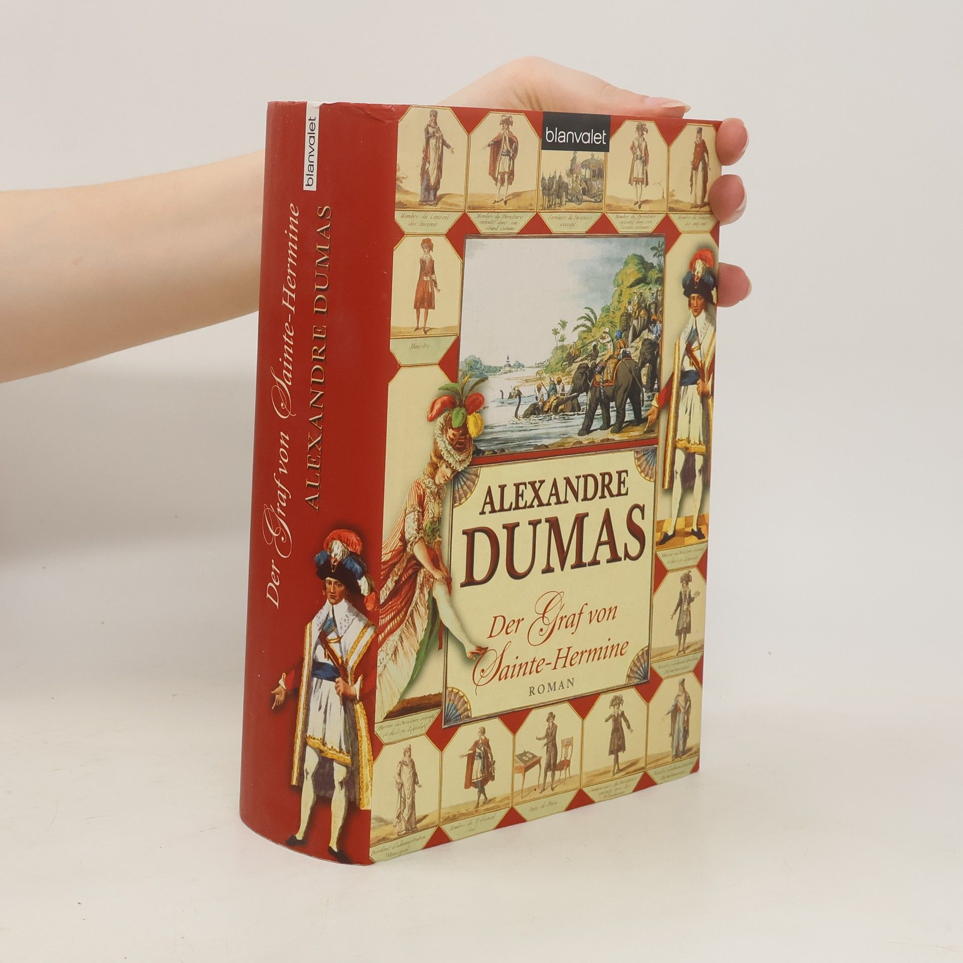 Der Graf von Sainte-Hermine