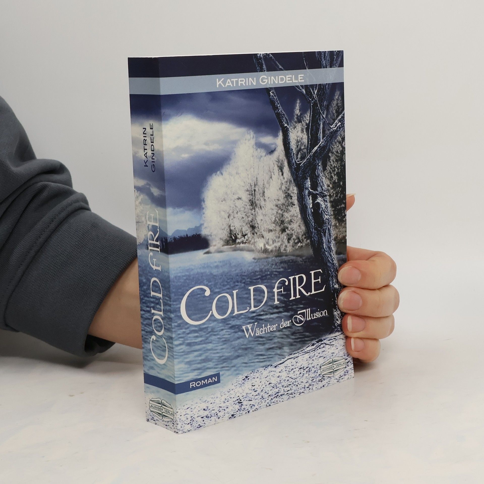 Katrin Gindele Wächter der Illusion - Cold Fire