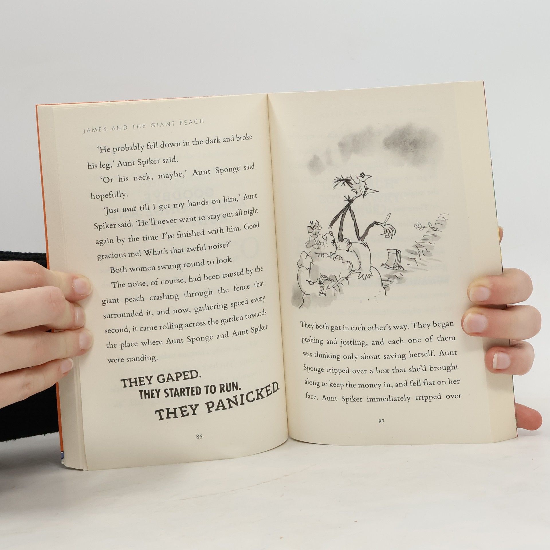 Roald Dahl James and the Giant Peach