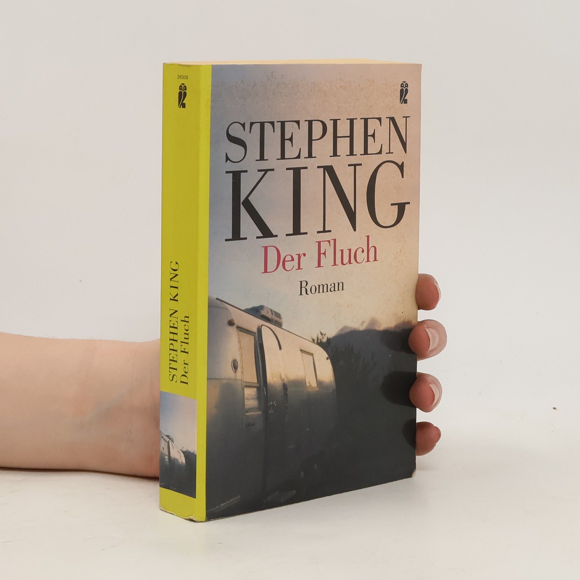 Stephen King Der Fluch