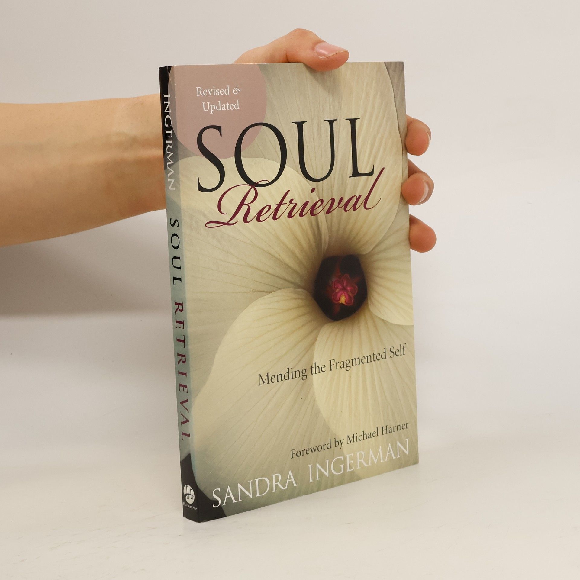 Sandra Ingerman Soul Retrieval
