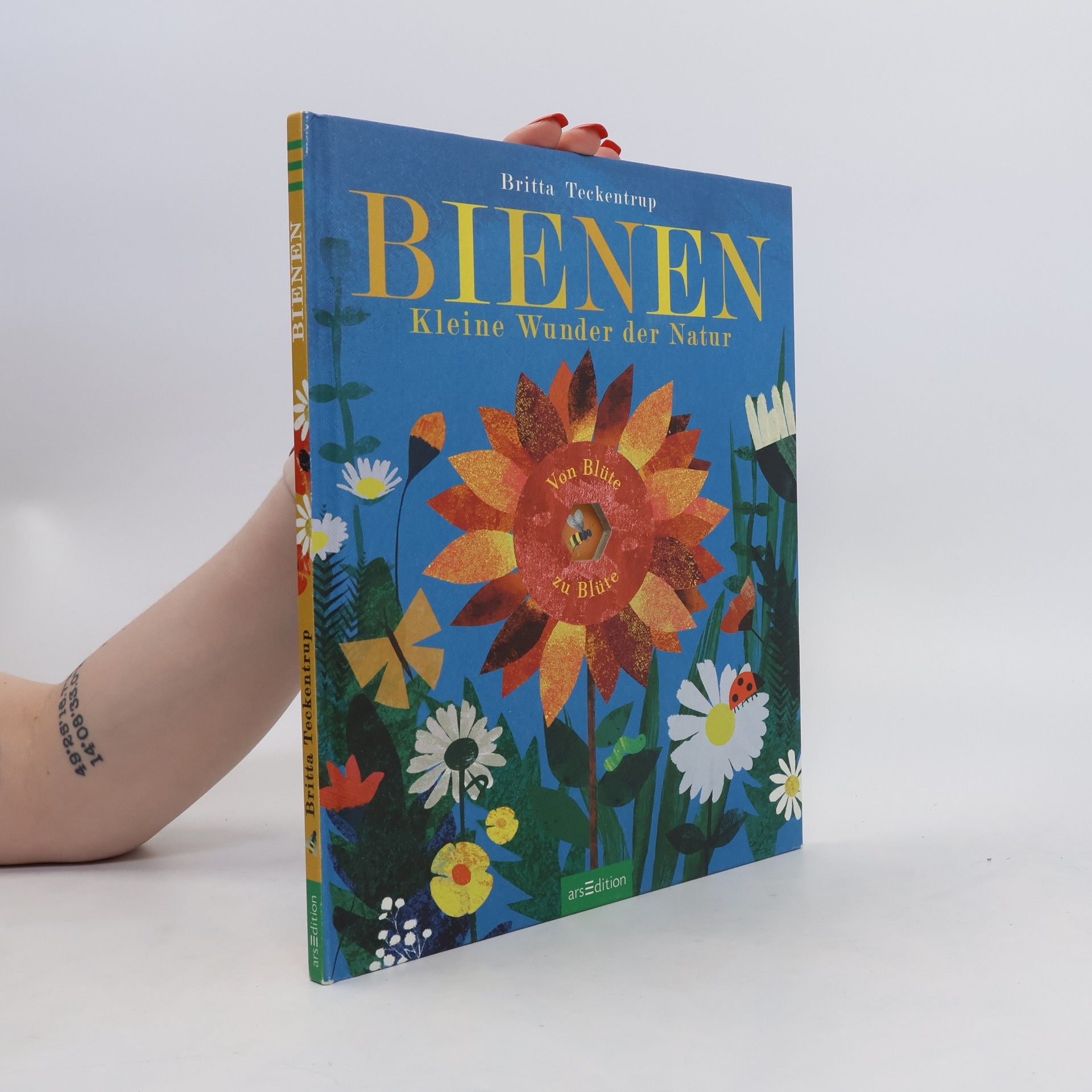 Britta Teckentrup Bienen