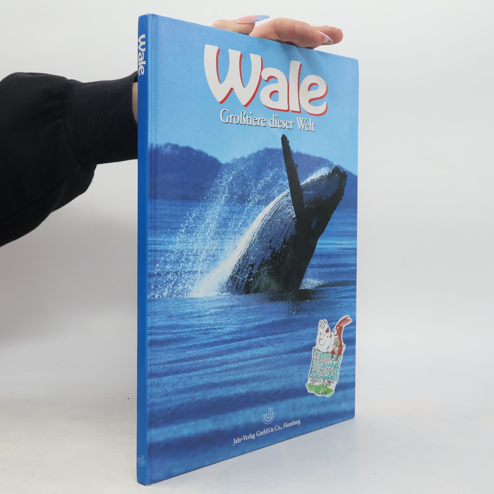 Lesley Dow Wale