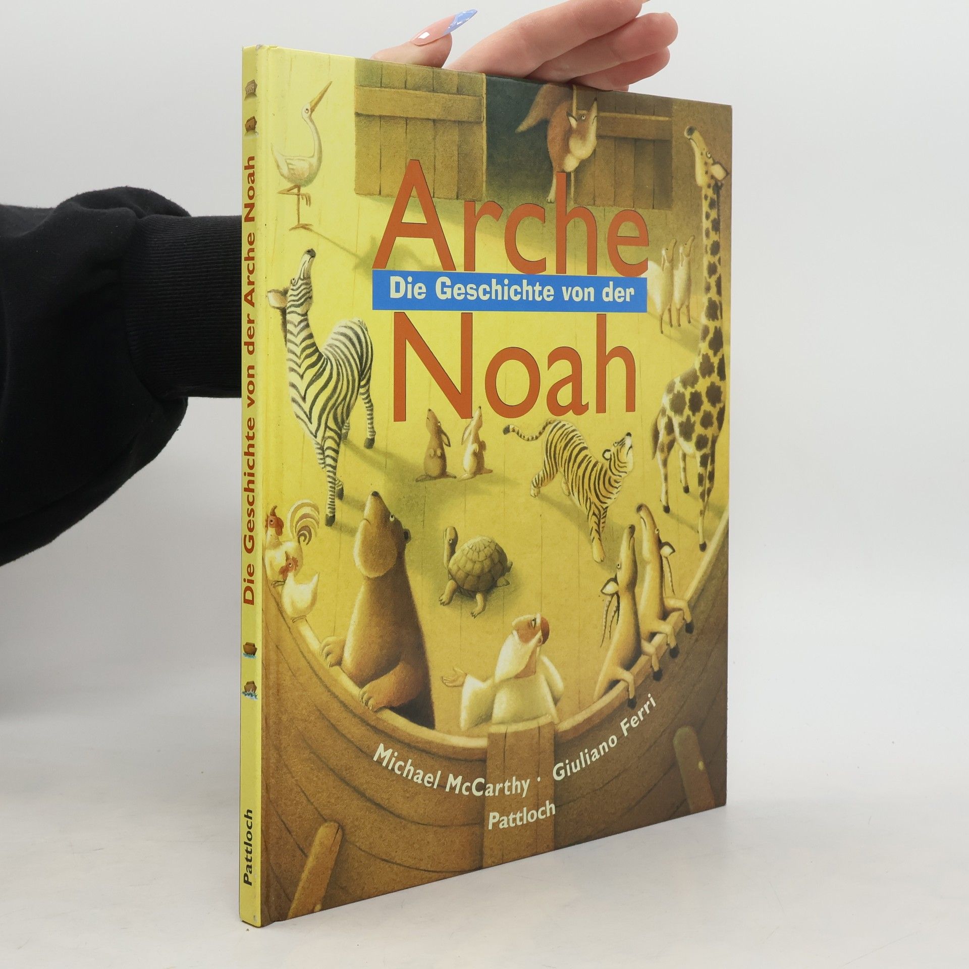 Michael McCarthy Die Geschichte von der Arche Noah