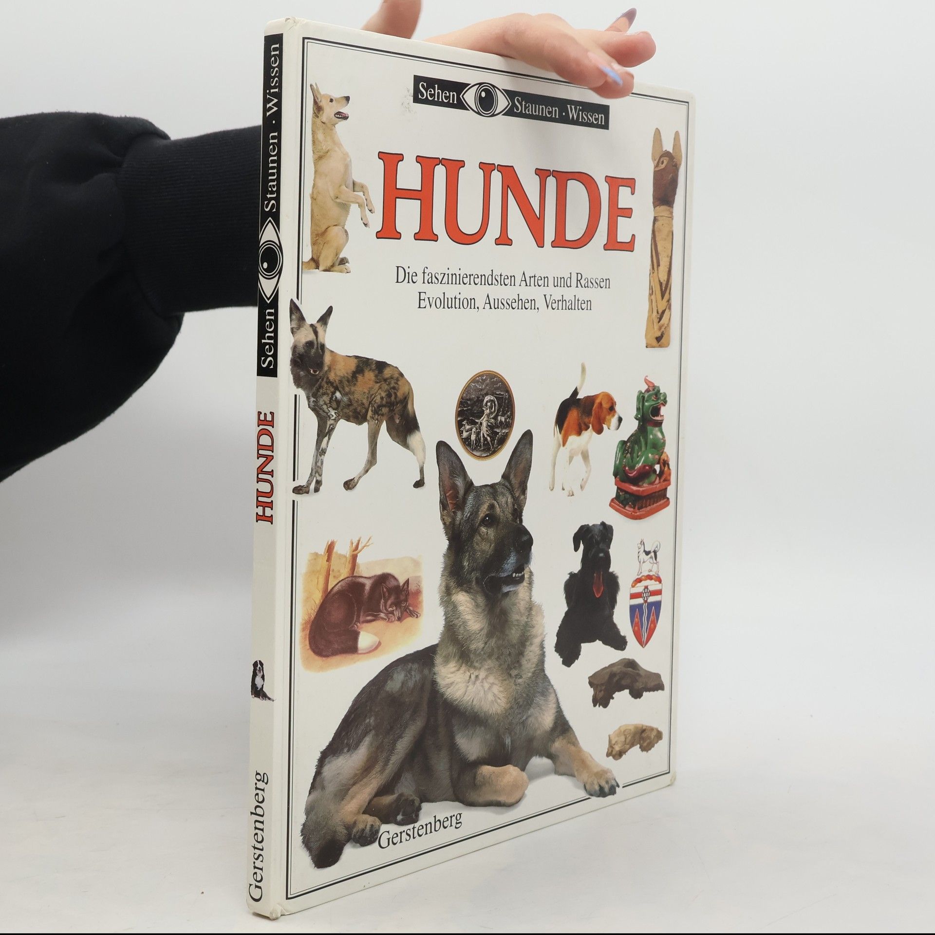 Jerry Young Hunde
