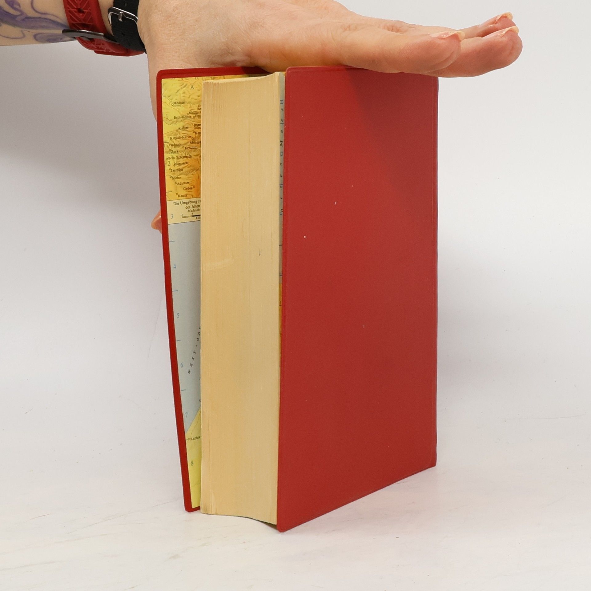 kolektiv Die Bibel