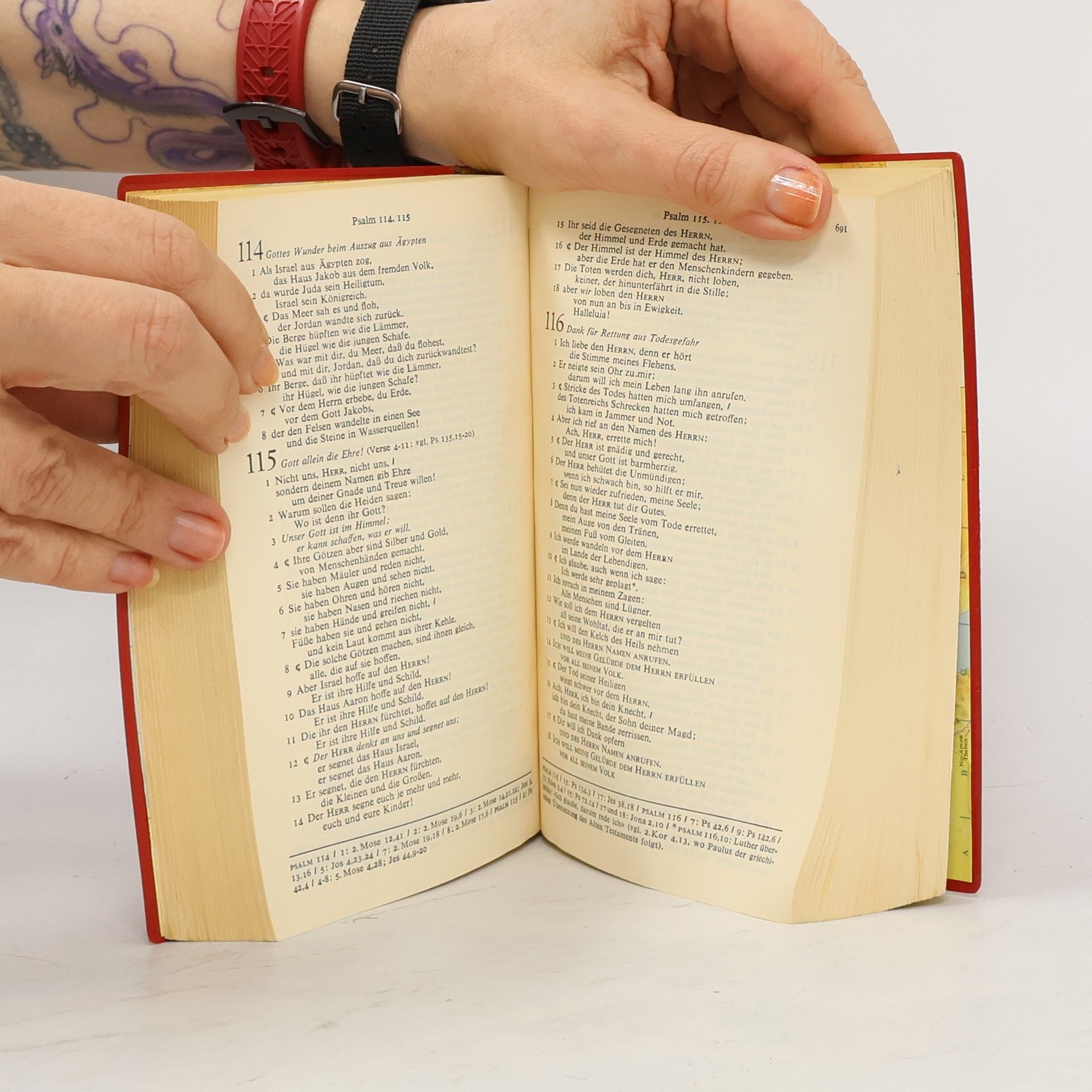 kolektiv Die Bibel