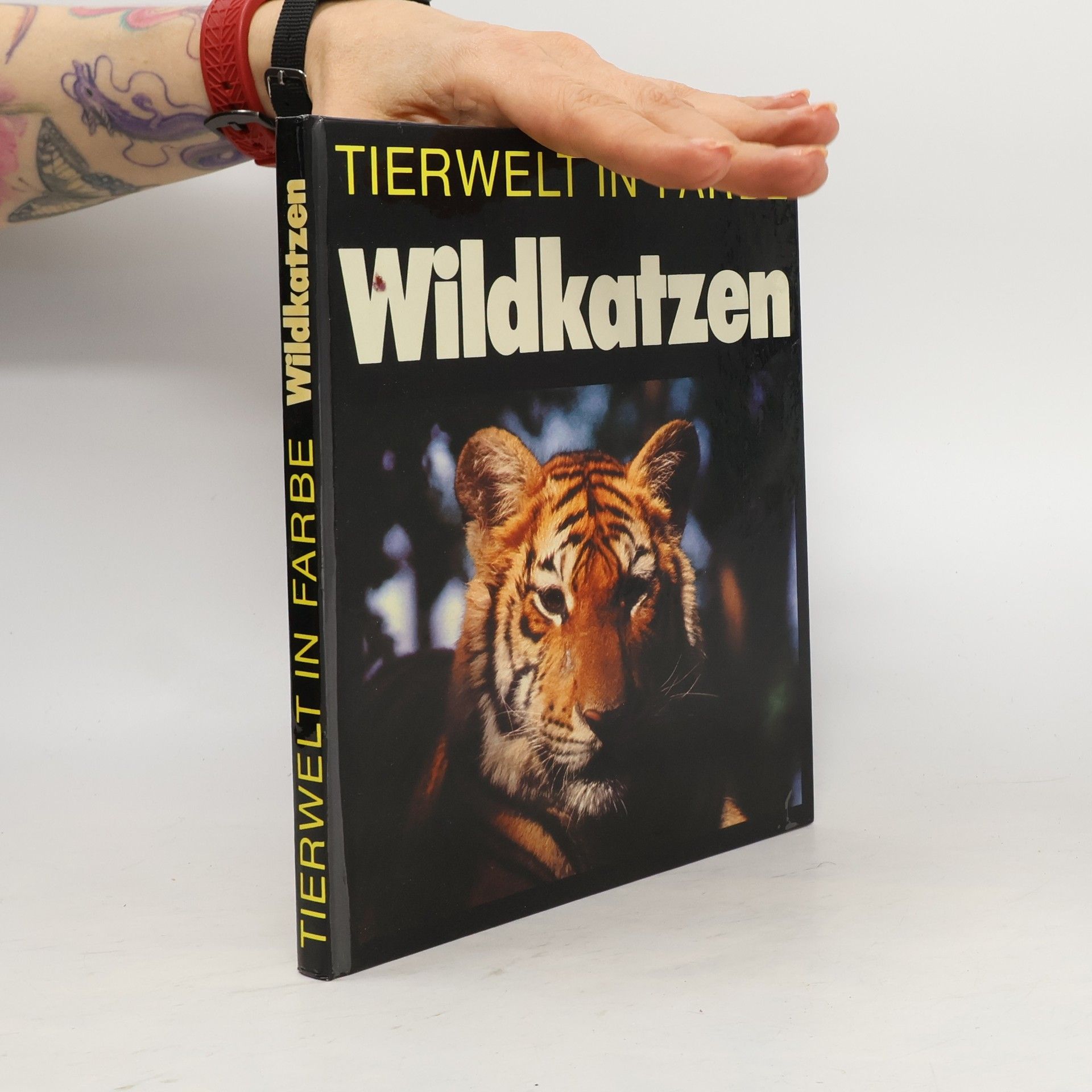 kolektiv Wildkatzen