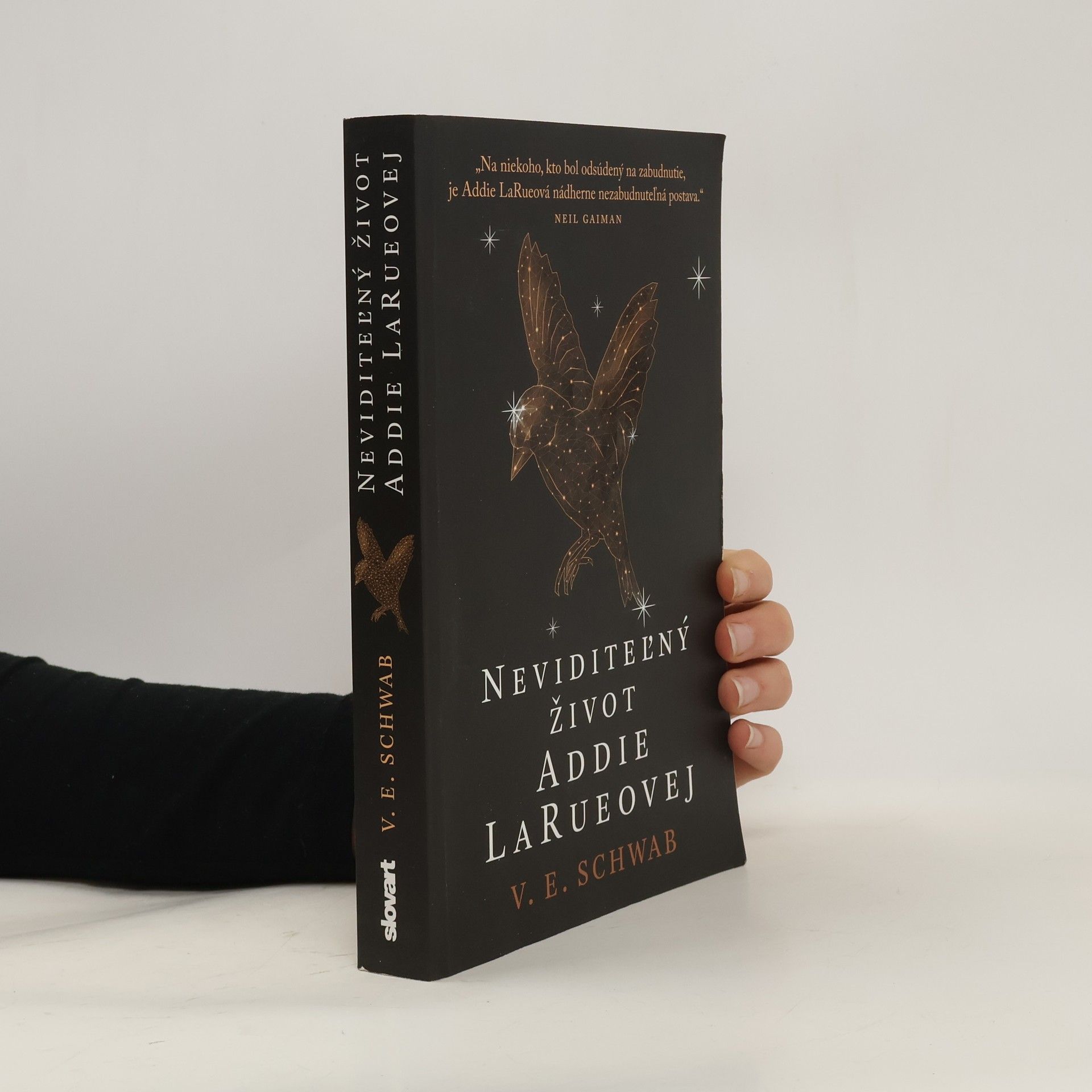 V. E. Schwab Neviditeľný život Addie LaRueovej