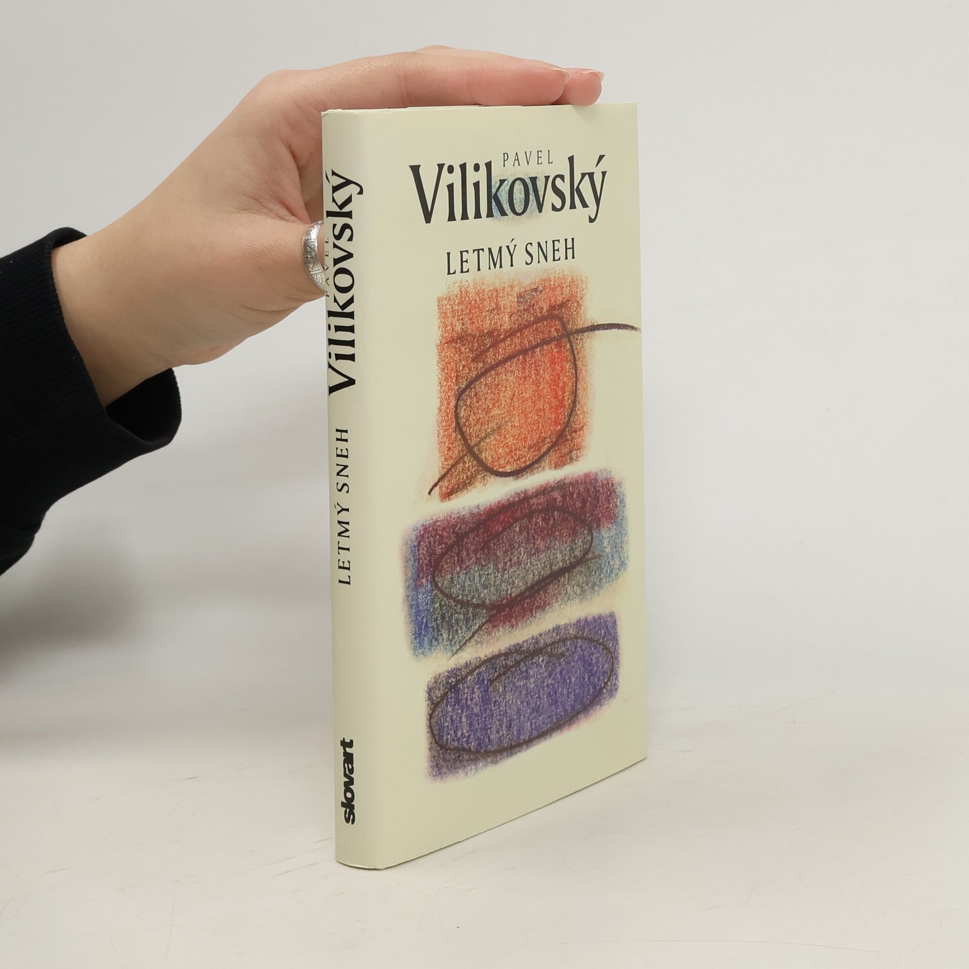 Pavel Vilikovský Letmý sneh