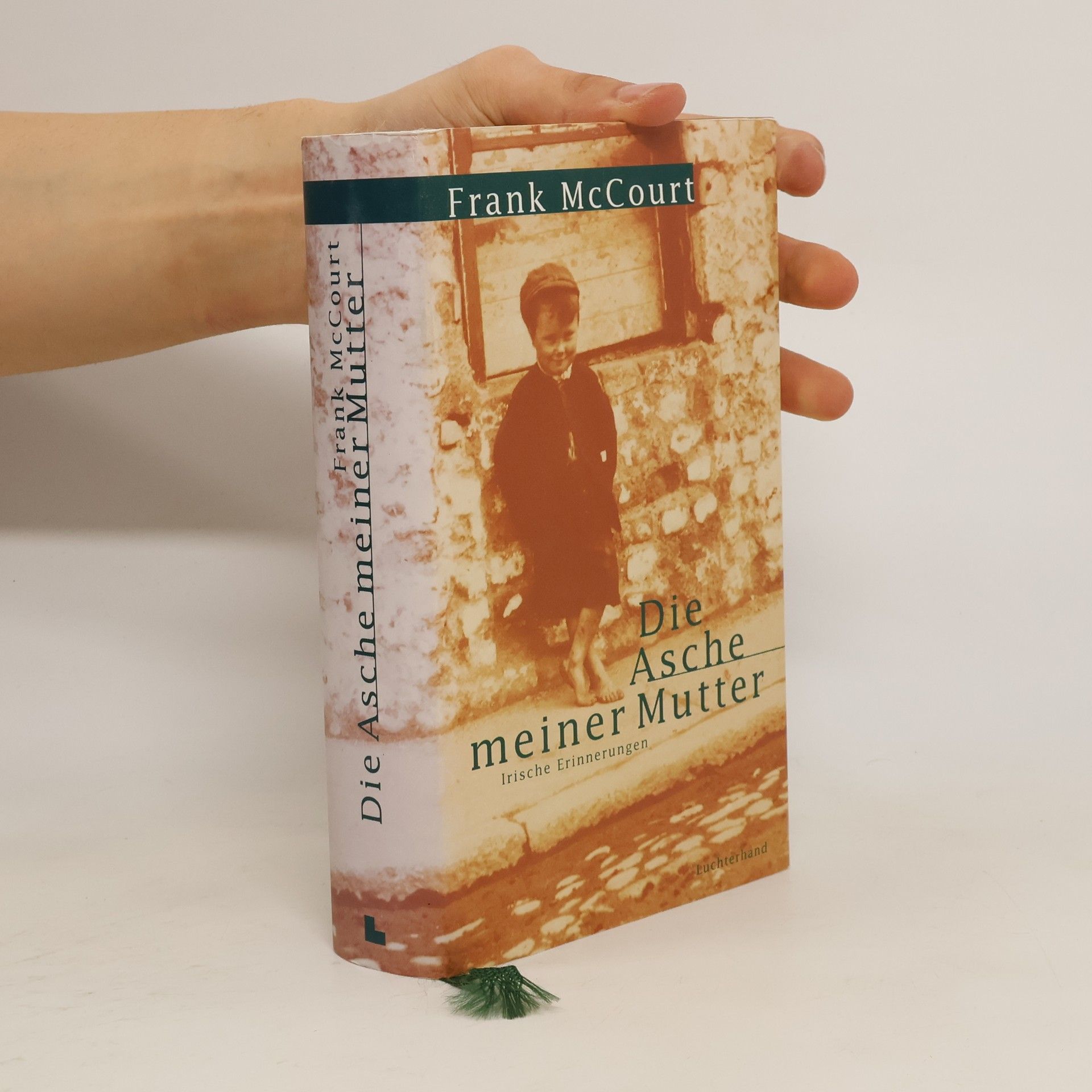 Frank McCourt Die Asche meiner Mutter